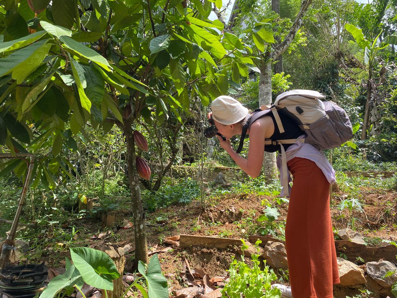 Ella Spice Garden Tour & Authentic Cooking Class