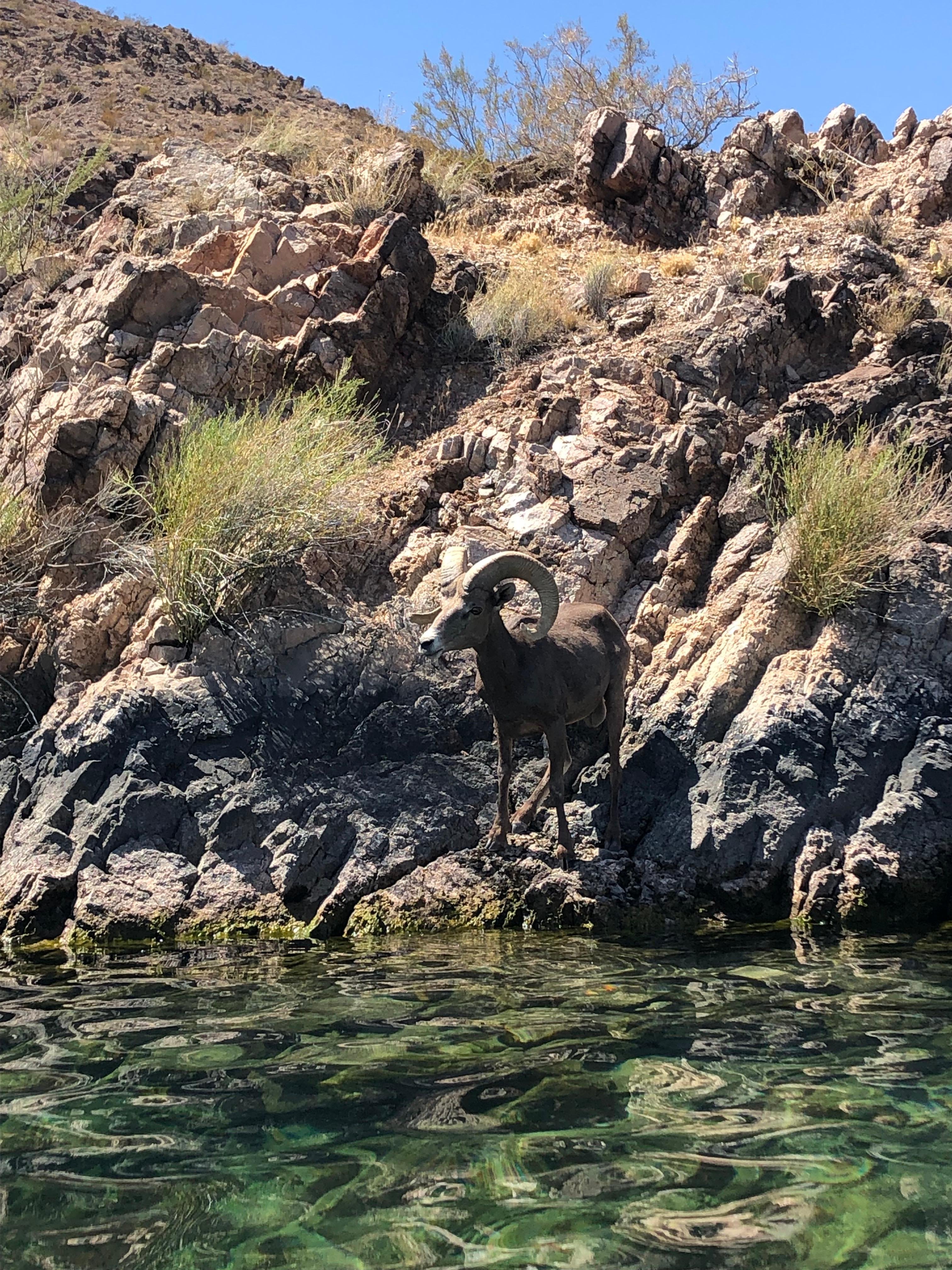 Las Vegas: Guided Colorado River Kayaking to Emerald Cave