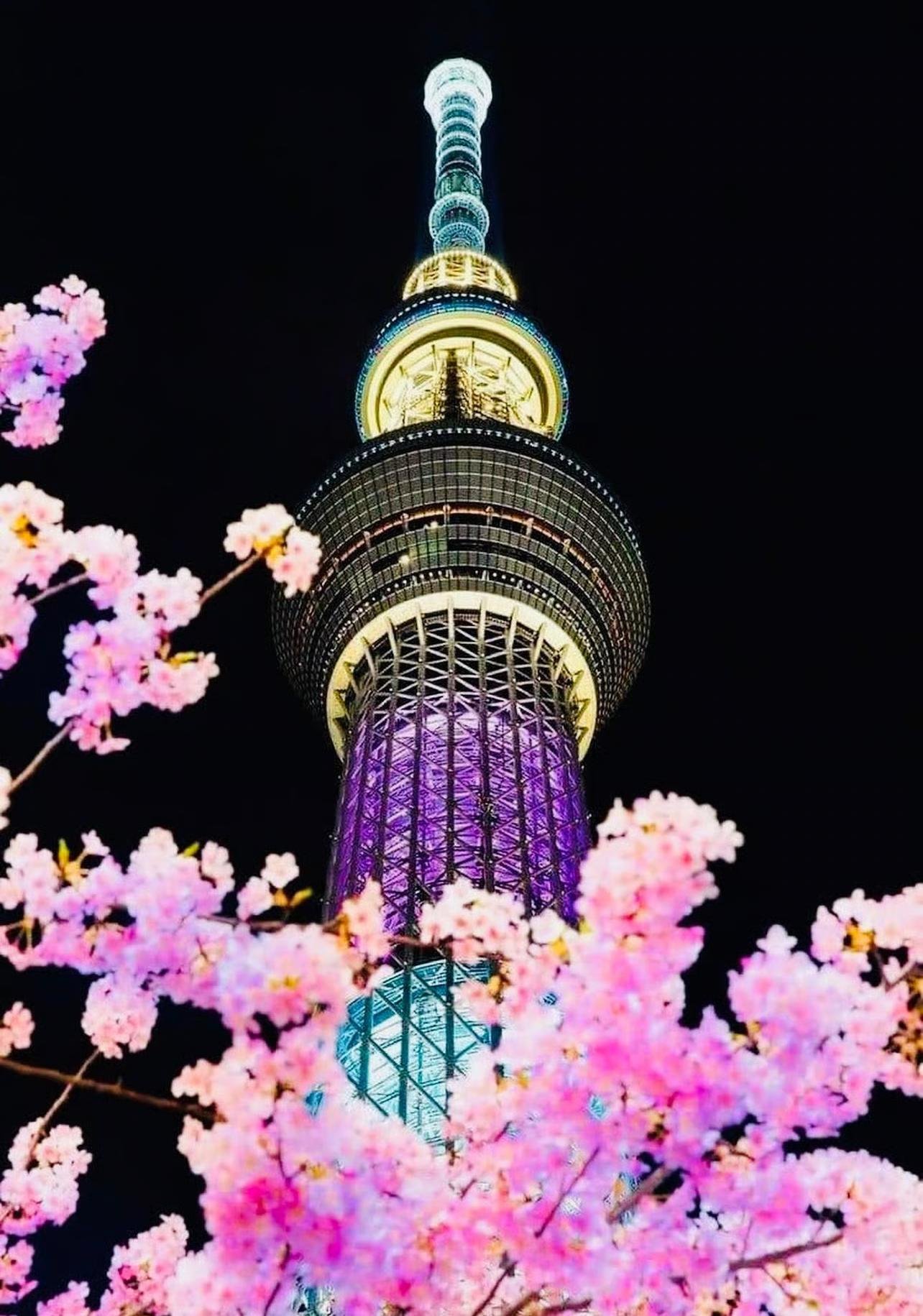 Private Tokyo & Yokohama Night Tour
