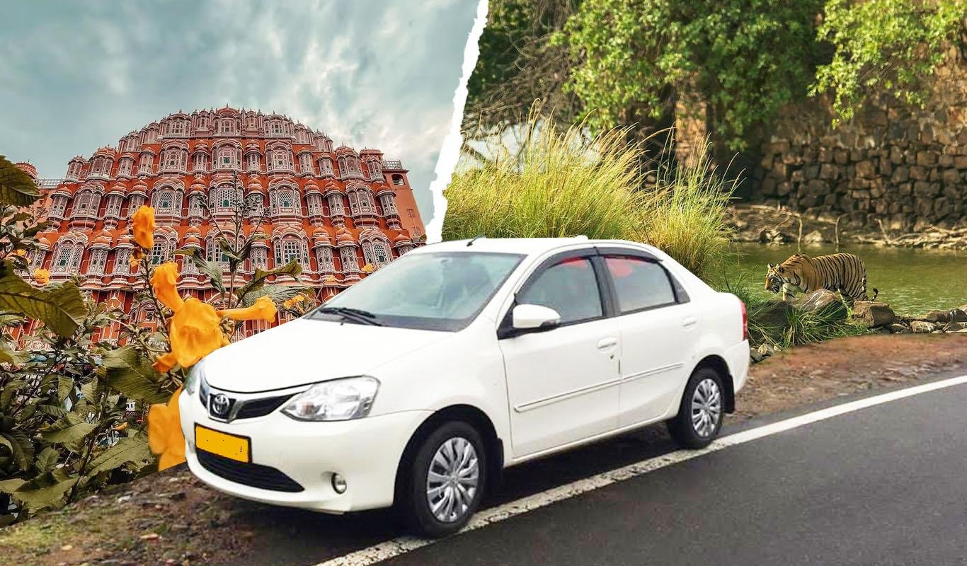 Jaipur: Private Transfer to/from Ranthambore National Park - 2026 (Verified Reviews)