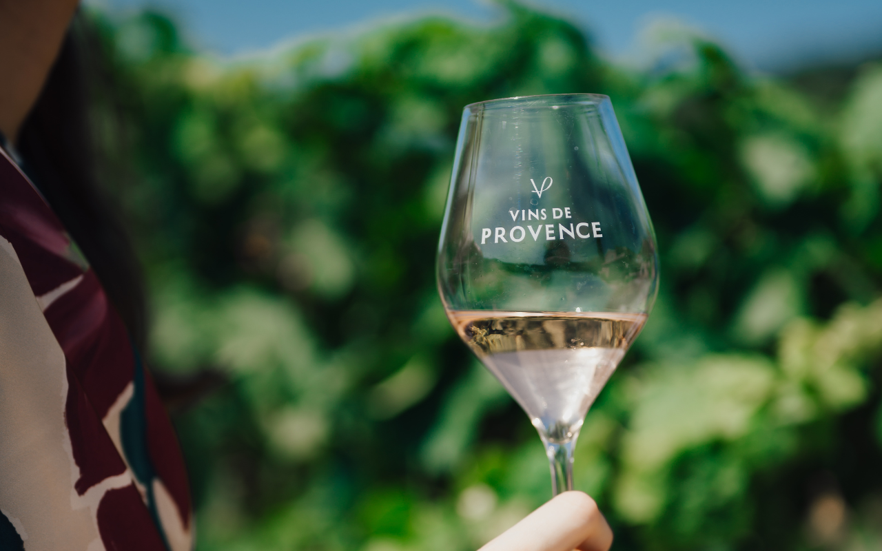 Half-Day Wine Discovery in Saint-Tropez Gulf