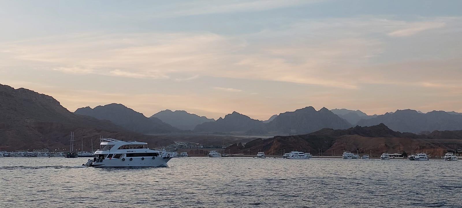 Ras Mohamed & White Island Snorkeling, Diving & Lunch from Sharm