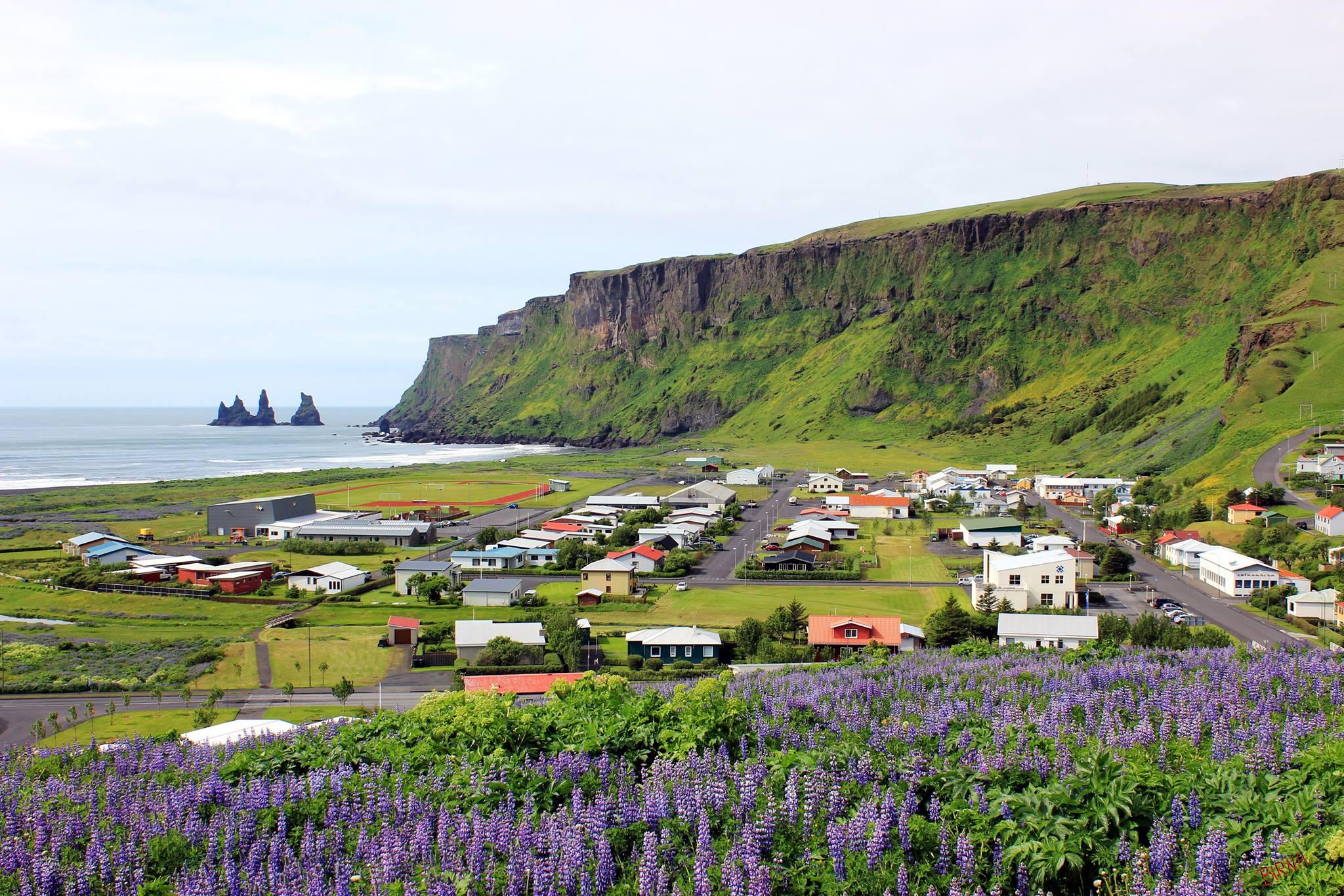 Reykjavik: South Coast & Katla Ice Cave Small Group Adventure