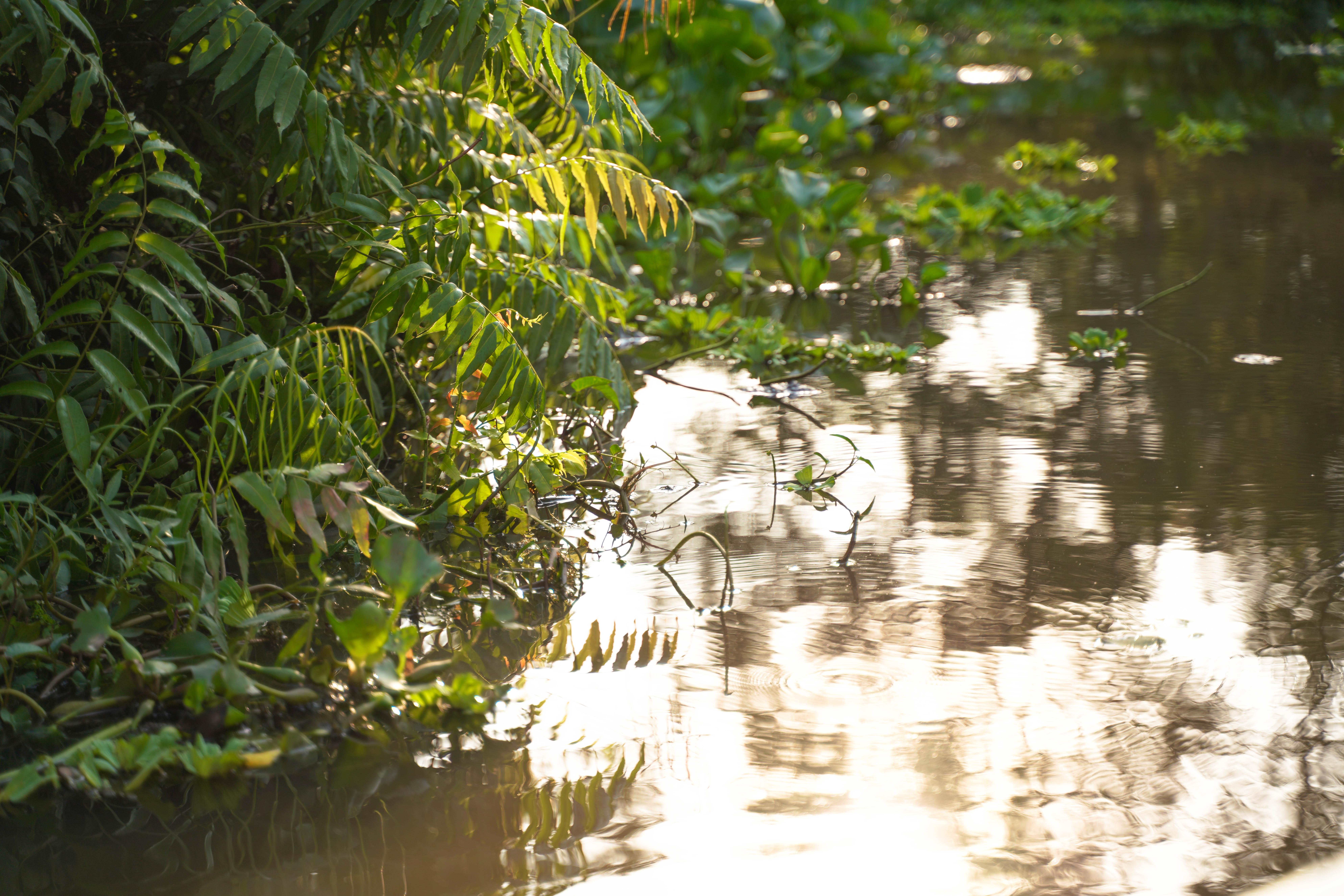 3-Day Mekong Delta Expedition: Ho Chi Minh to Phnom Penh