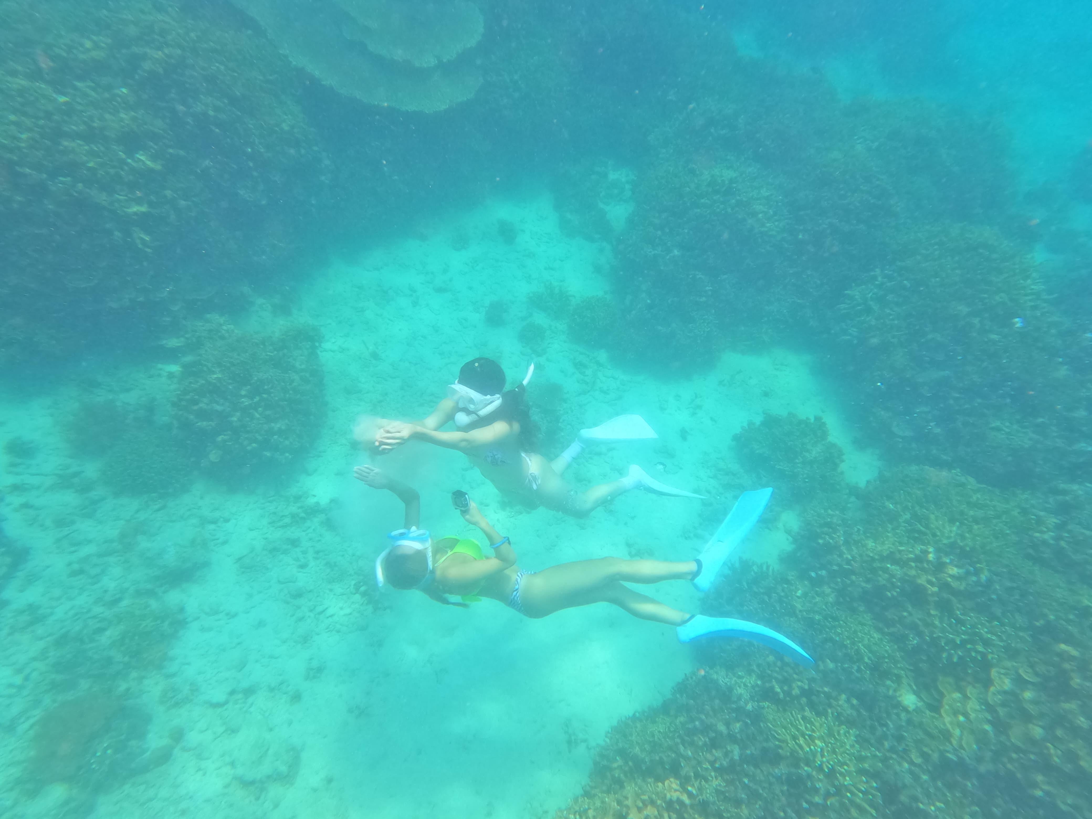 Coron Dugong Snorkeling & Coral Garden Day Tour