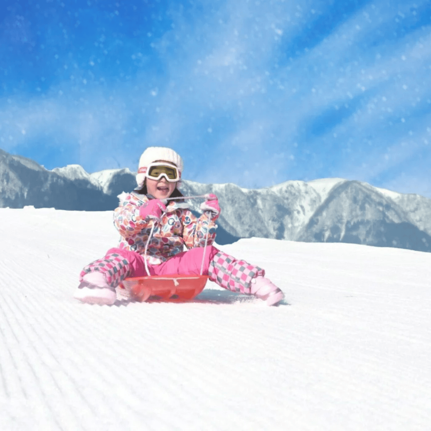 Private Nagano Day Tour: Snow Monkeys, Zenko-ji & Hot Springs from Tokyo
