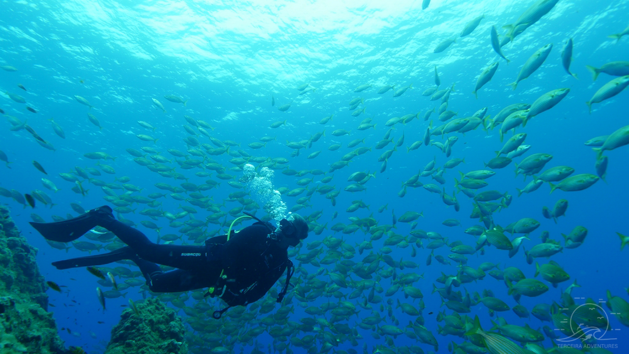 Double Dive Experience in Angra do Heroísmo