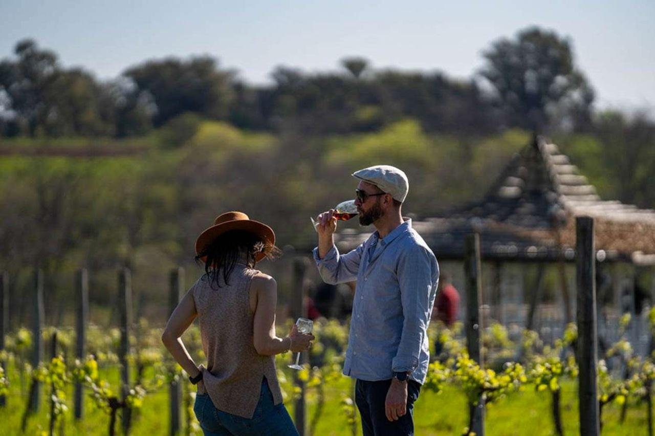 Private Bodega Gamboa Wine Tour with Gourmet Lunch