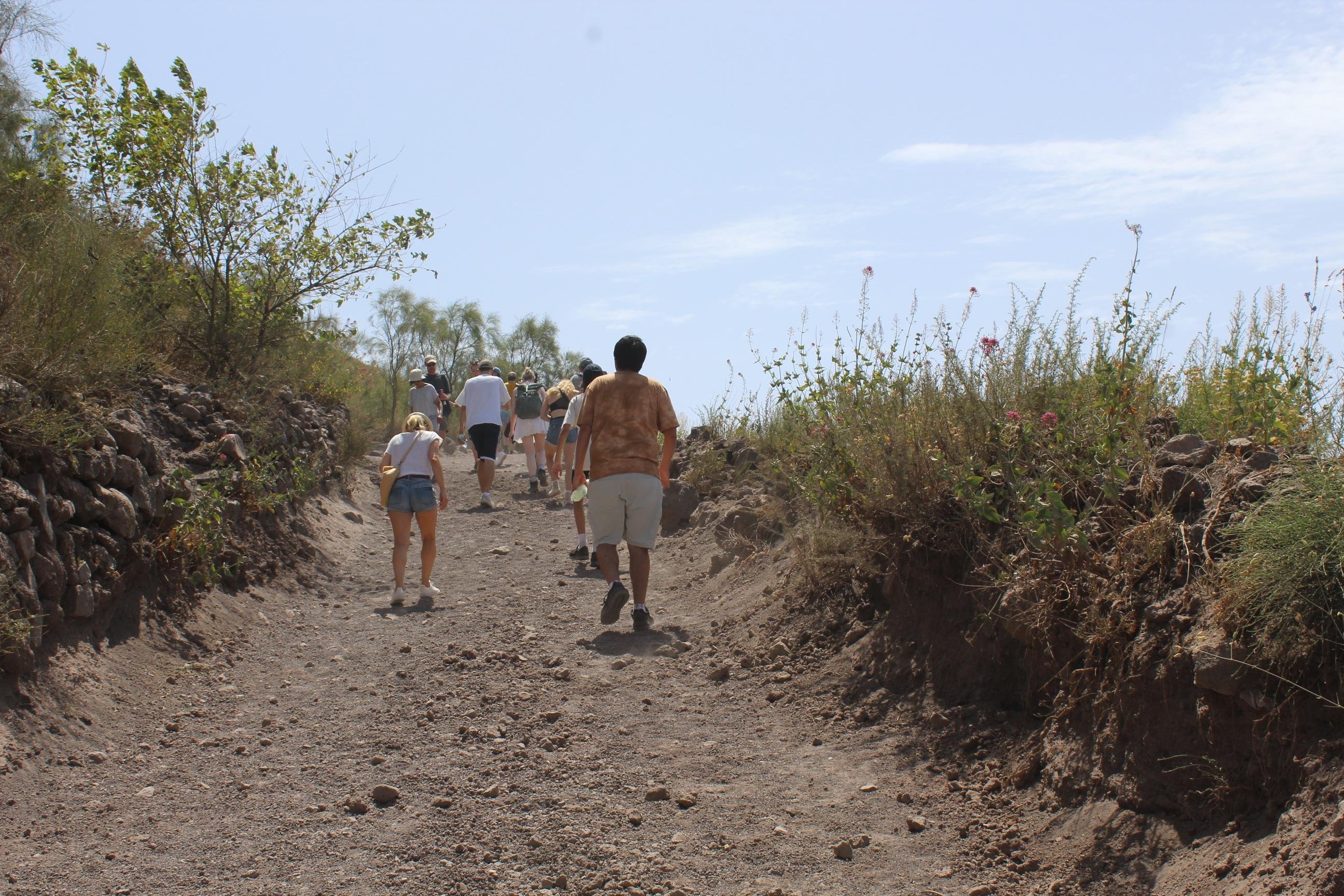 From Naples: Pompeii and Vesuvius Tour with Lunch Included - Mount Vesuvius crater tour and Bay of Naples views