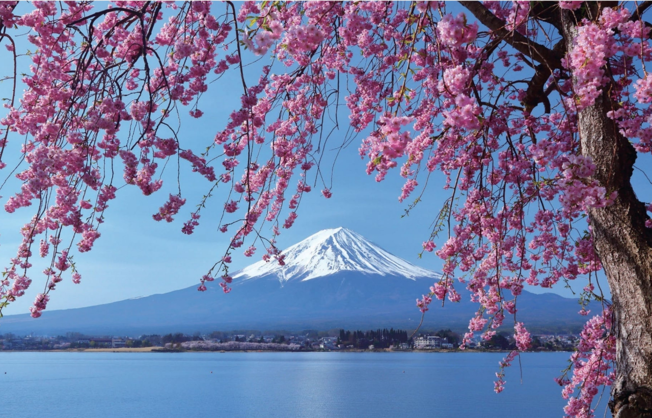 Mt. Fuji Iconic Views & Photography Day Trip from Tokyo