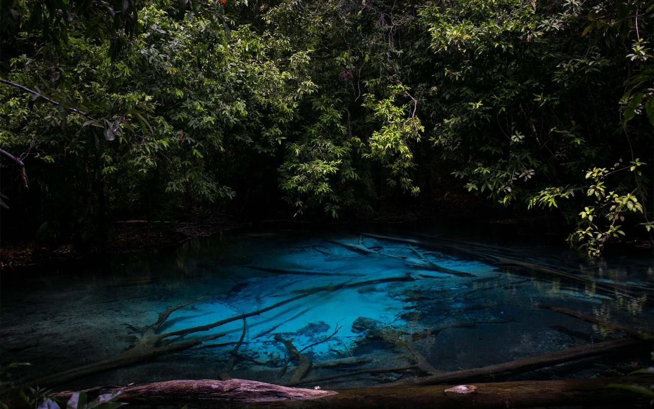 Krabi Jungle Day Tour: Hot Springs, Emerald Pool & Tiger Cave Temple