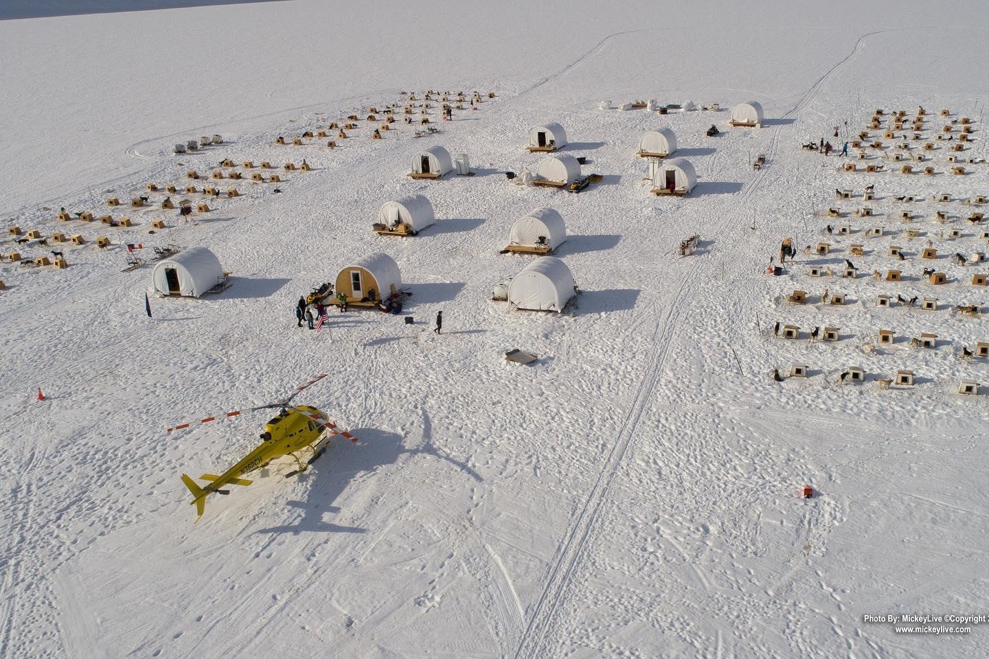 Herbert Glacier Helicopter Tour & Husky Dog Sledding