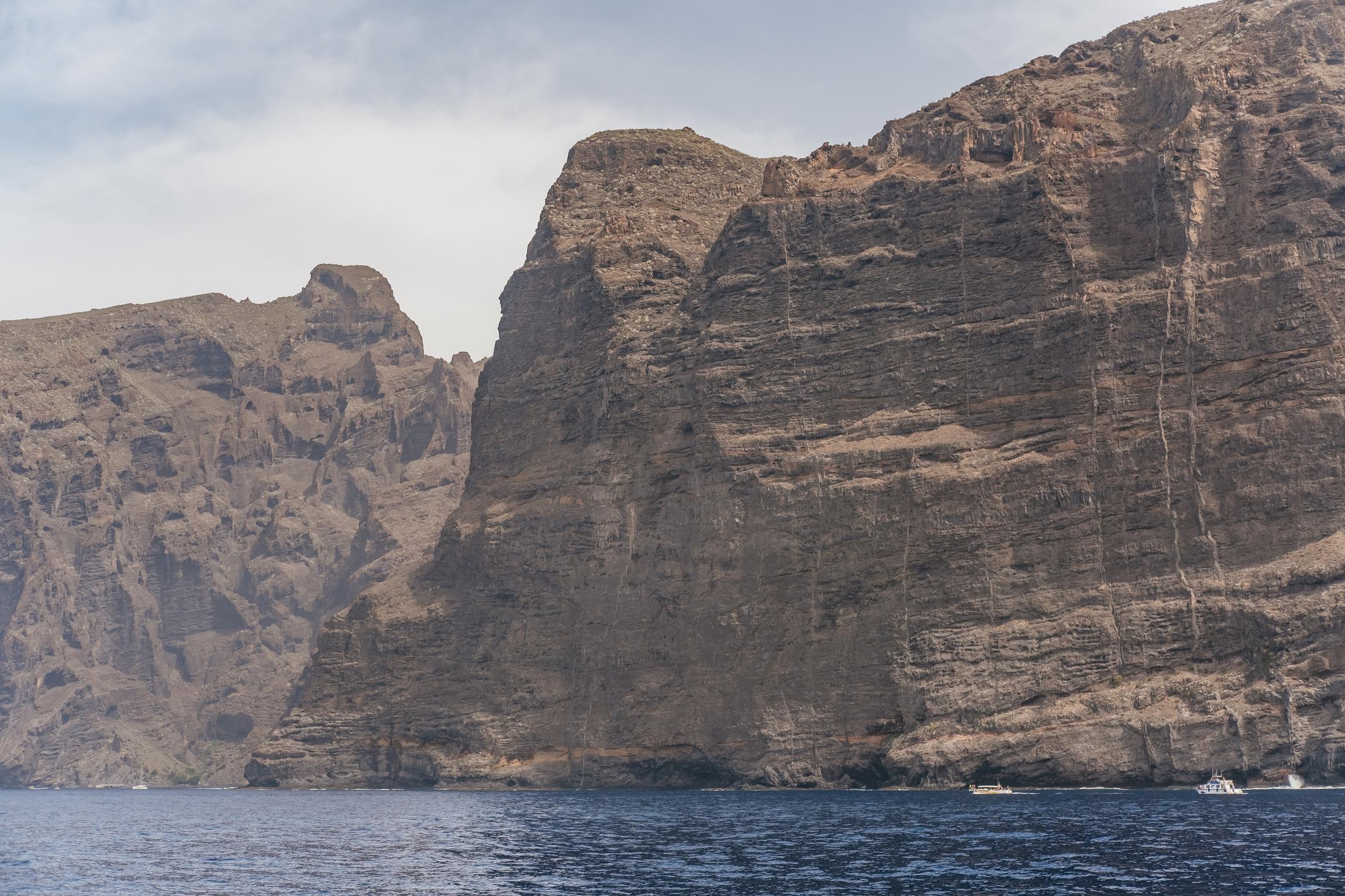 Eco-Friendly Whale & Dolphin Catamaran Cruise in Costa Adeje