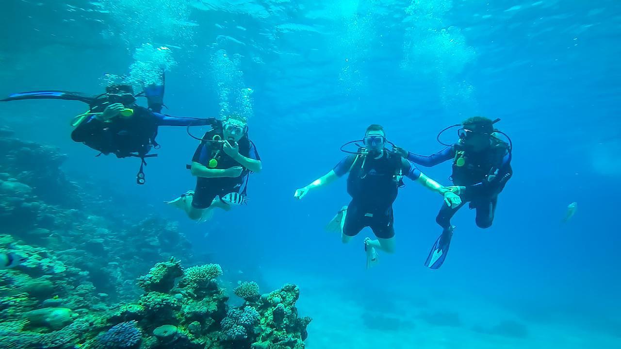 Ras Mohammed Luxury Dive Cruise from Sharm El Sheikh with Lunch