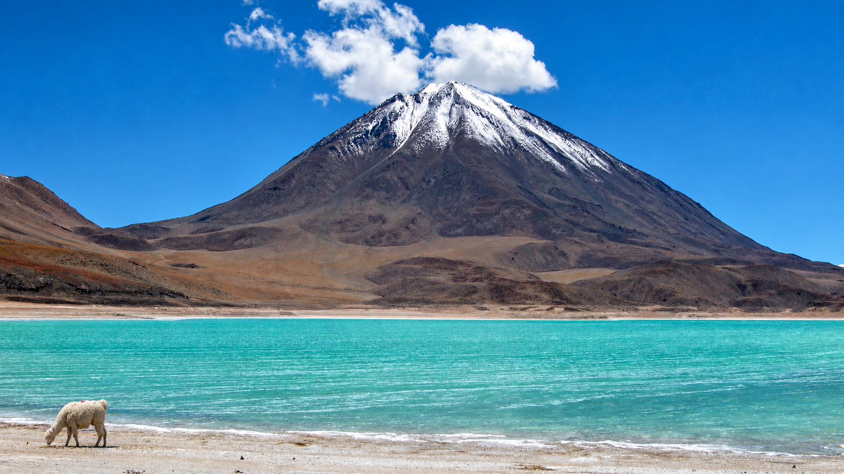 3-Day Uyuni Salt Flats & Colorada Lagoon Adventure