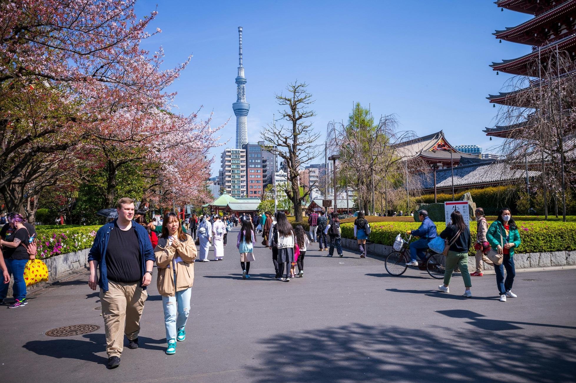Asakusa Highlights Walk: Sensoji, Skytree & Local Snacks