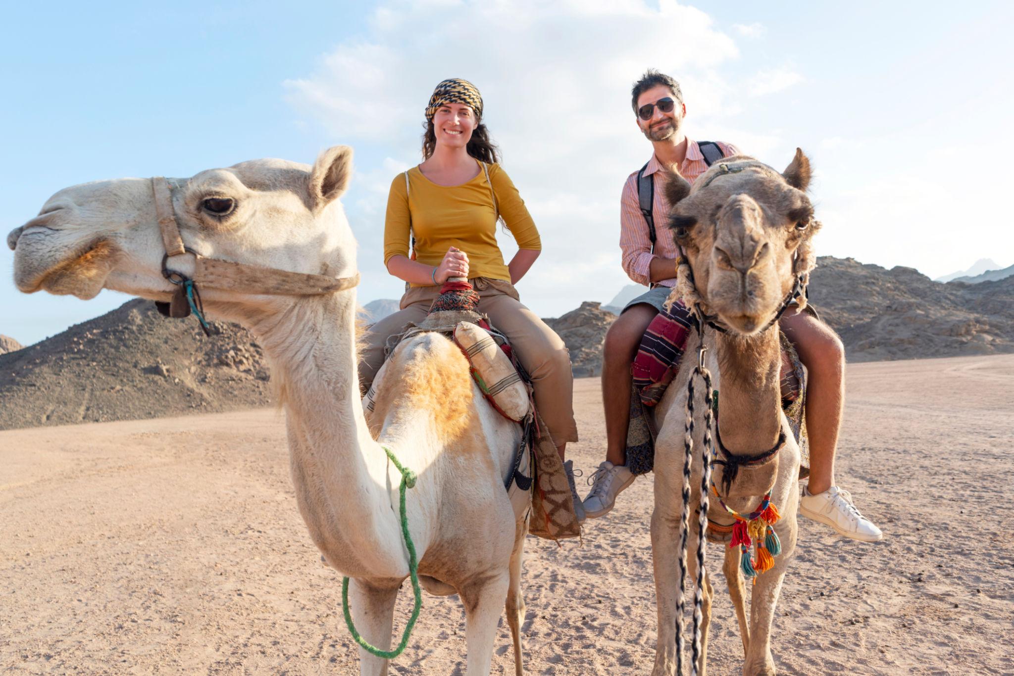 Agadir Camel Trekking Adventure with Refreshments
