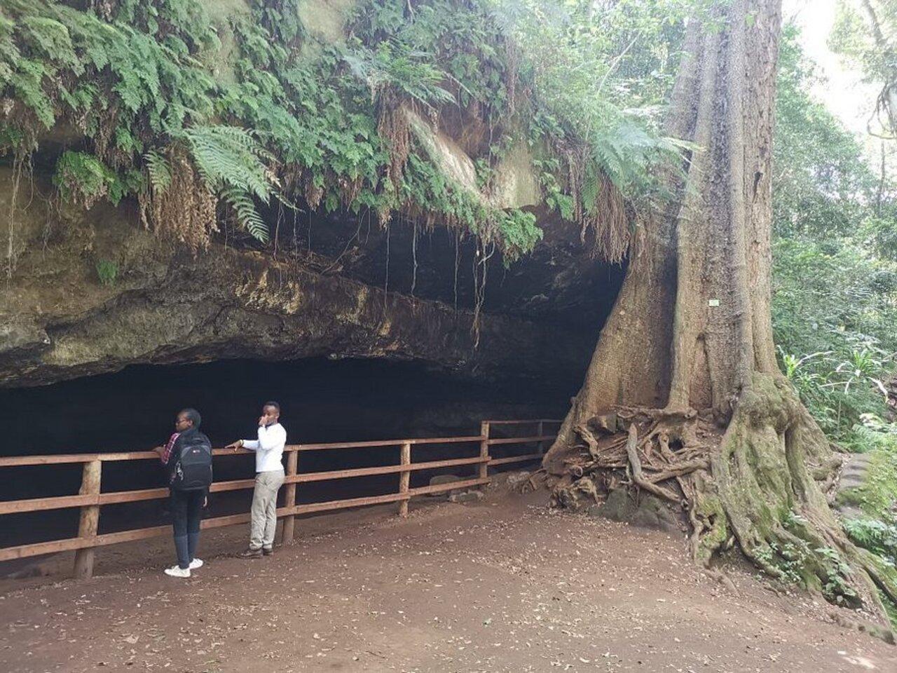 Karura Forest Nature Walk & Waterfall Tour