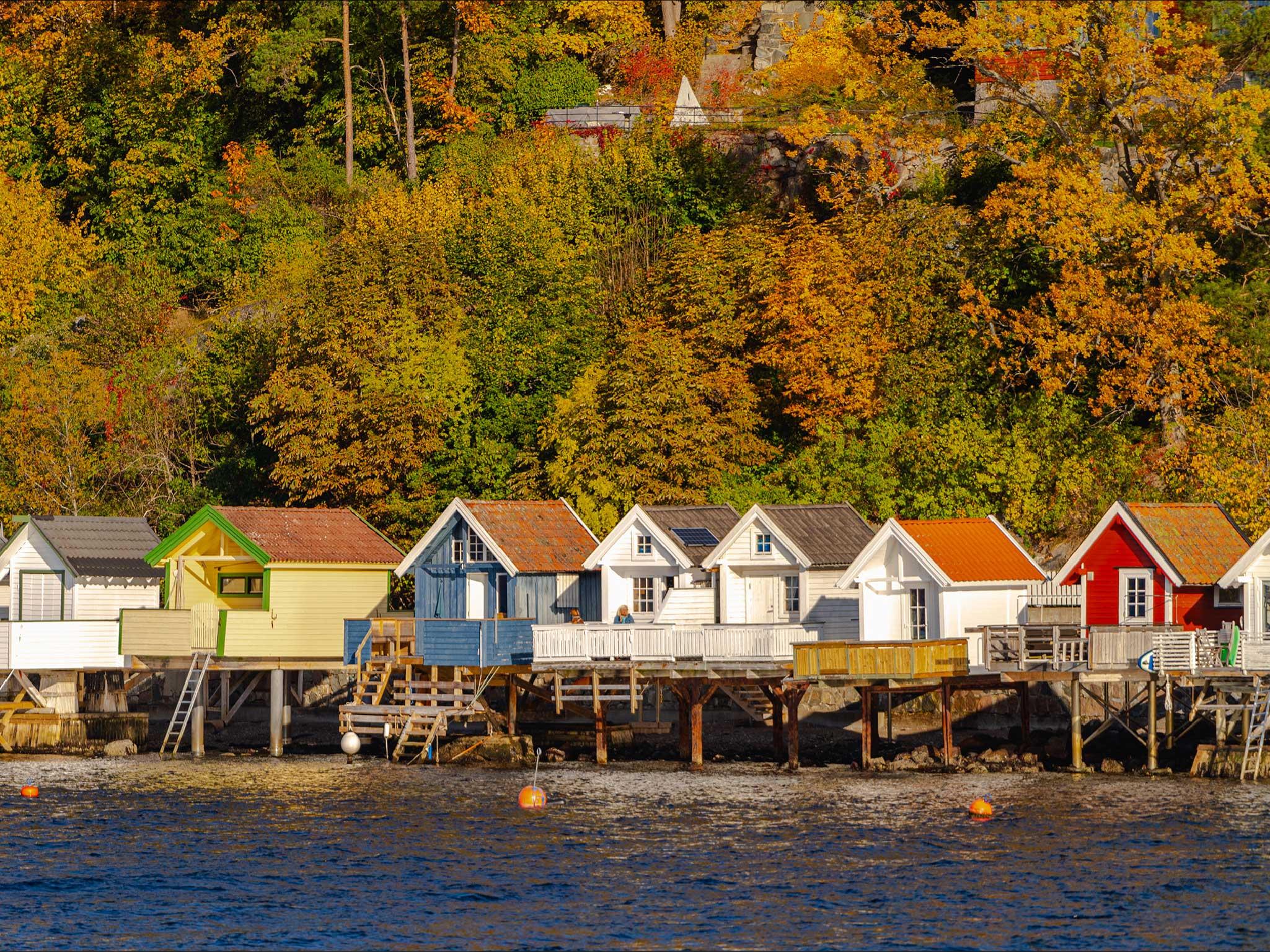 Oslo: Guided Sightseeing Fjord Cruise on Premium Silent Boat