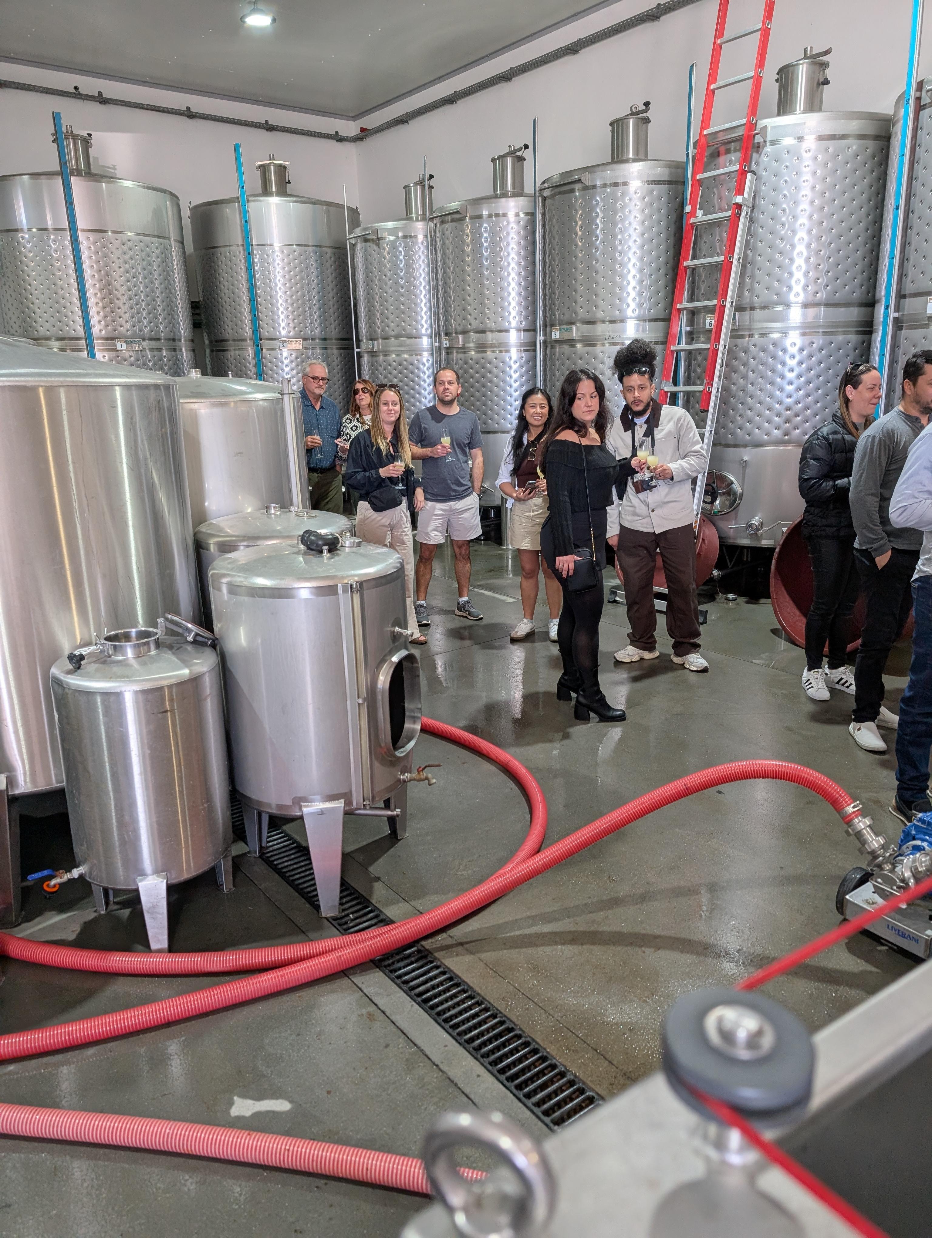 Porto: Douro Valley & Vinho Verde Day Tour with Tastings, Lunch & Boat Cruise