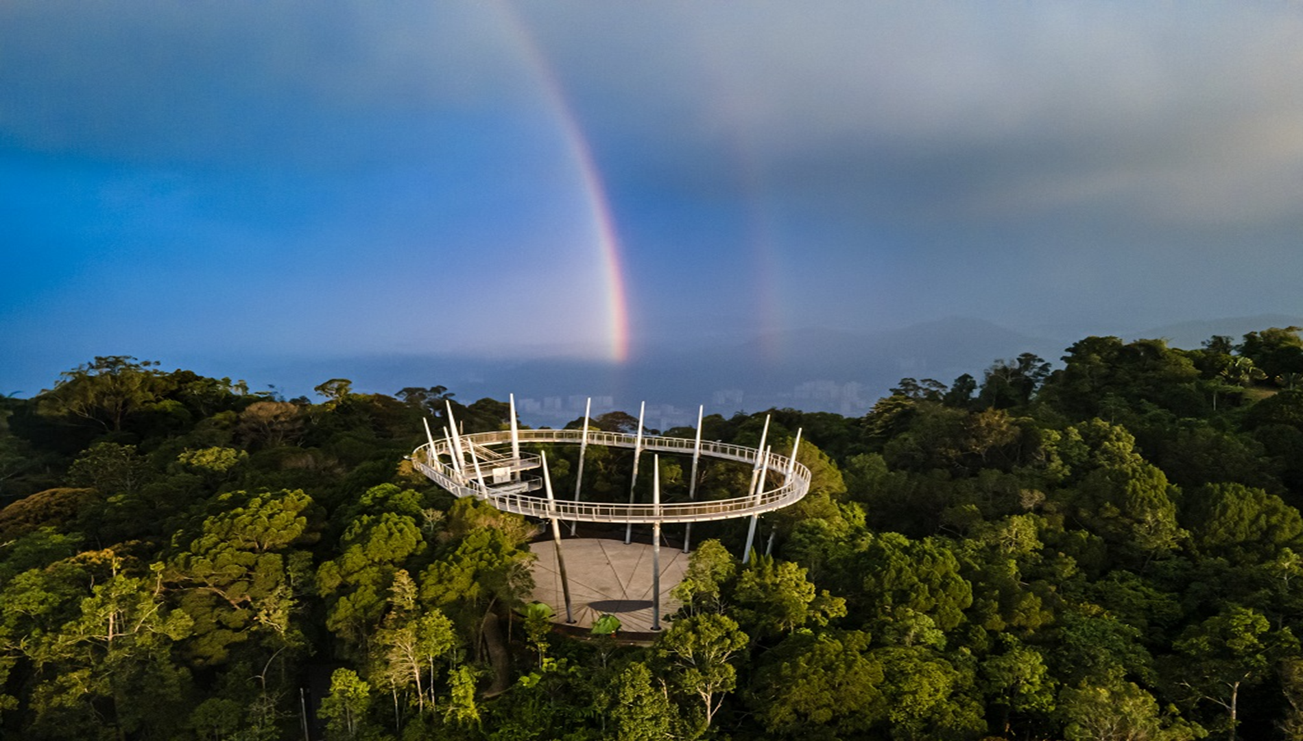 The Habitat Penang Hill Rainforest Experience