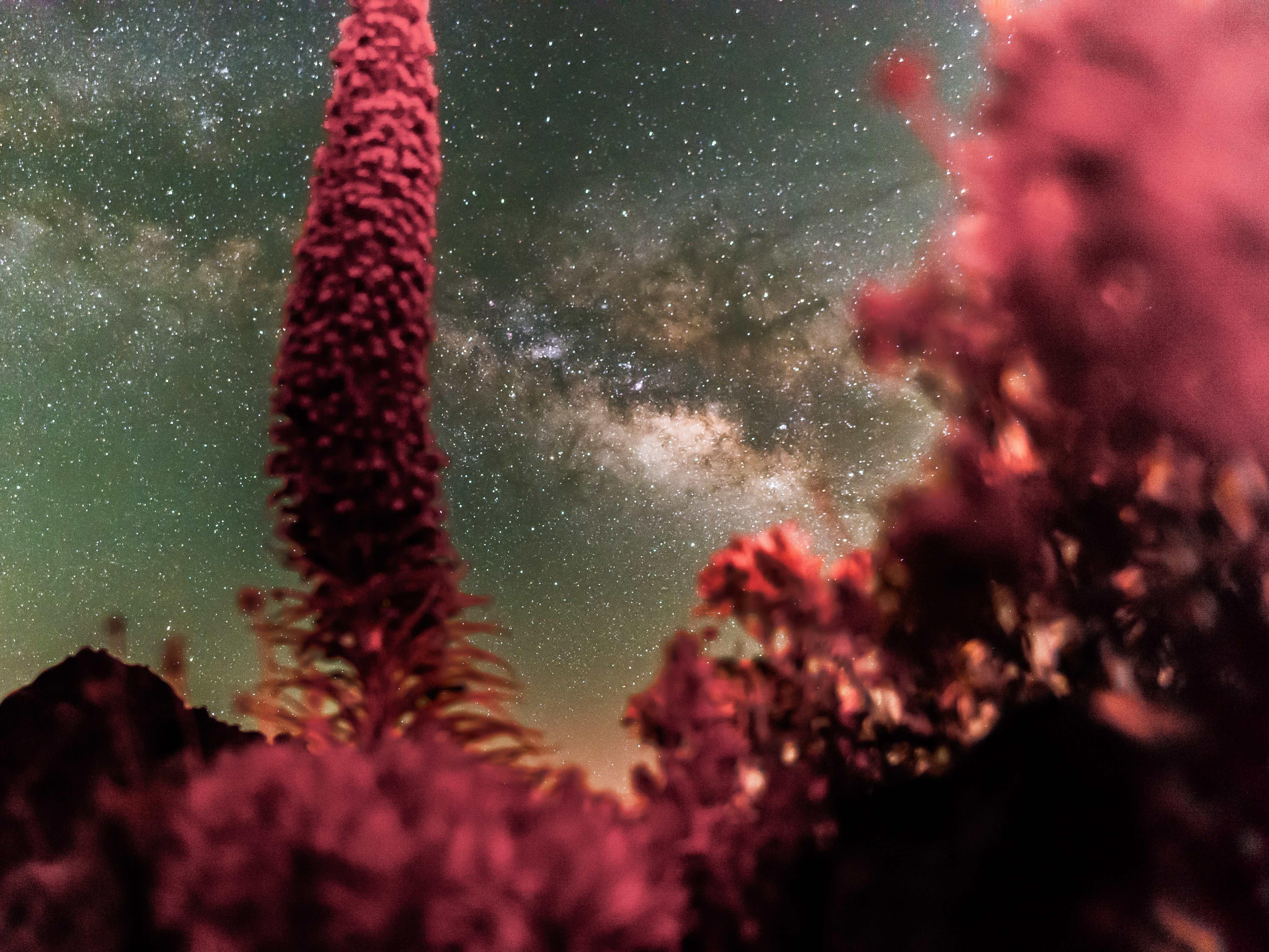 Teide National Park Stargazing with an Astrophysicist