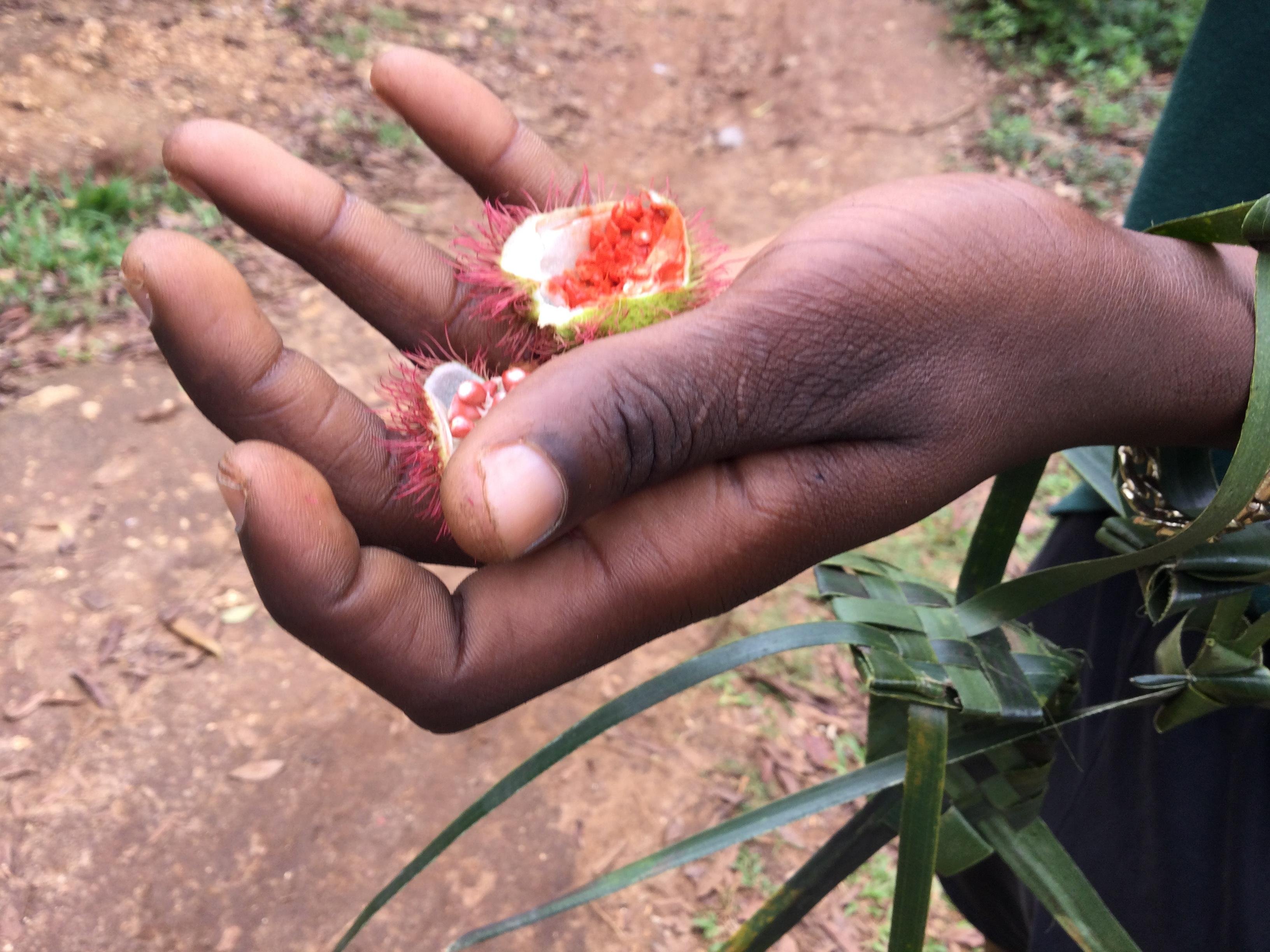 Zanzibar Spice Farm & Stone Town Private Day Tour with Swahili Lunch