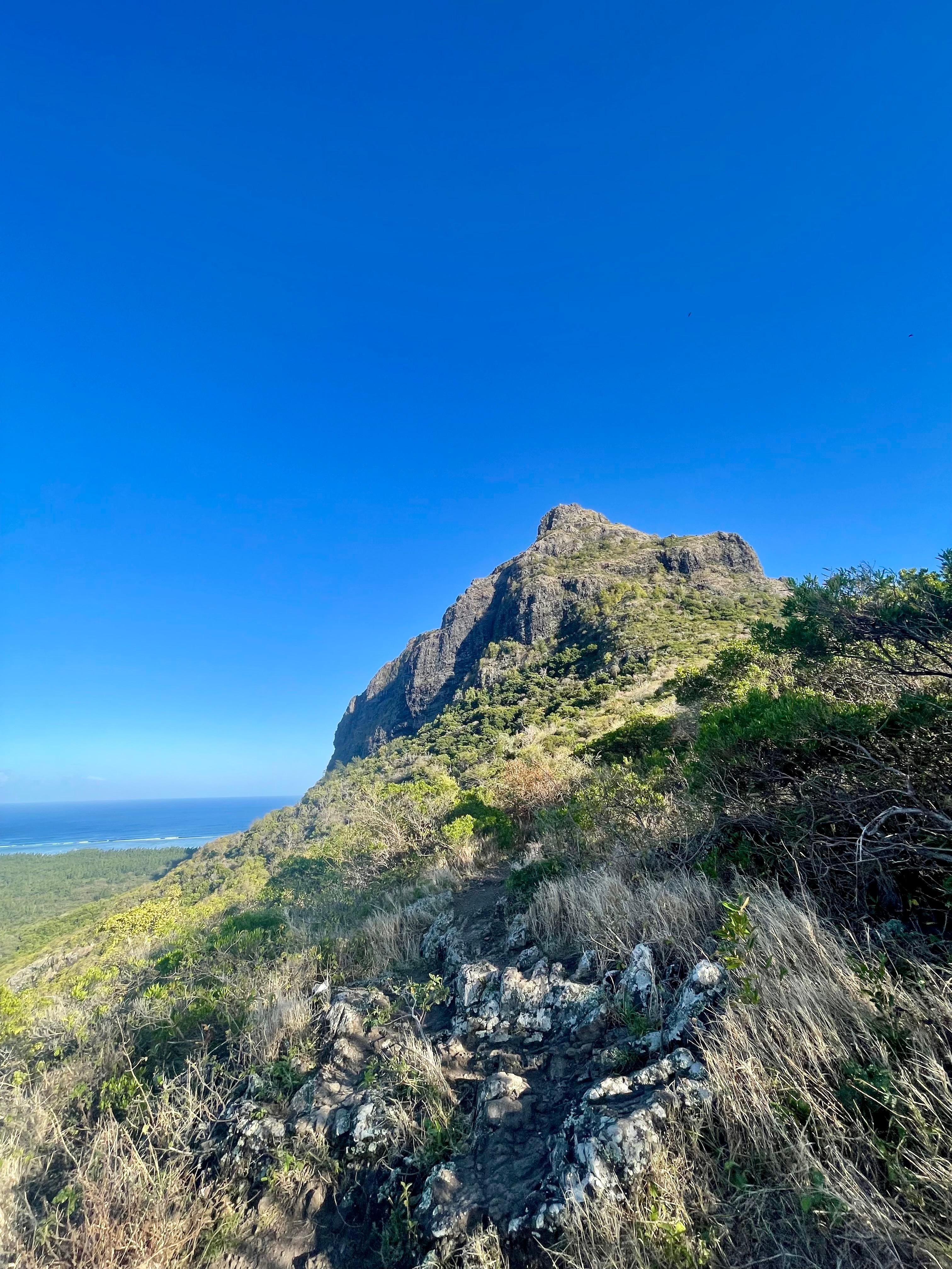 Le Morne Brabant: Private Guided Summit Hike