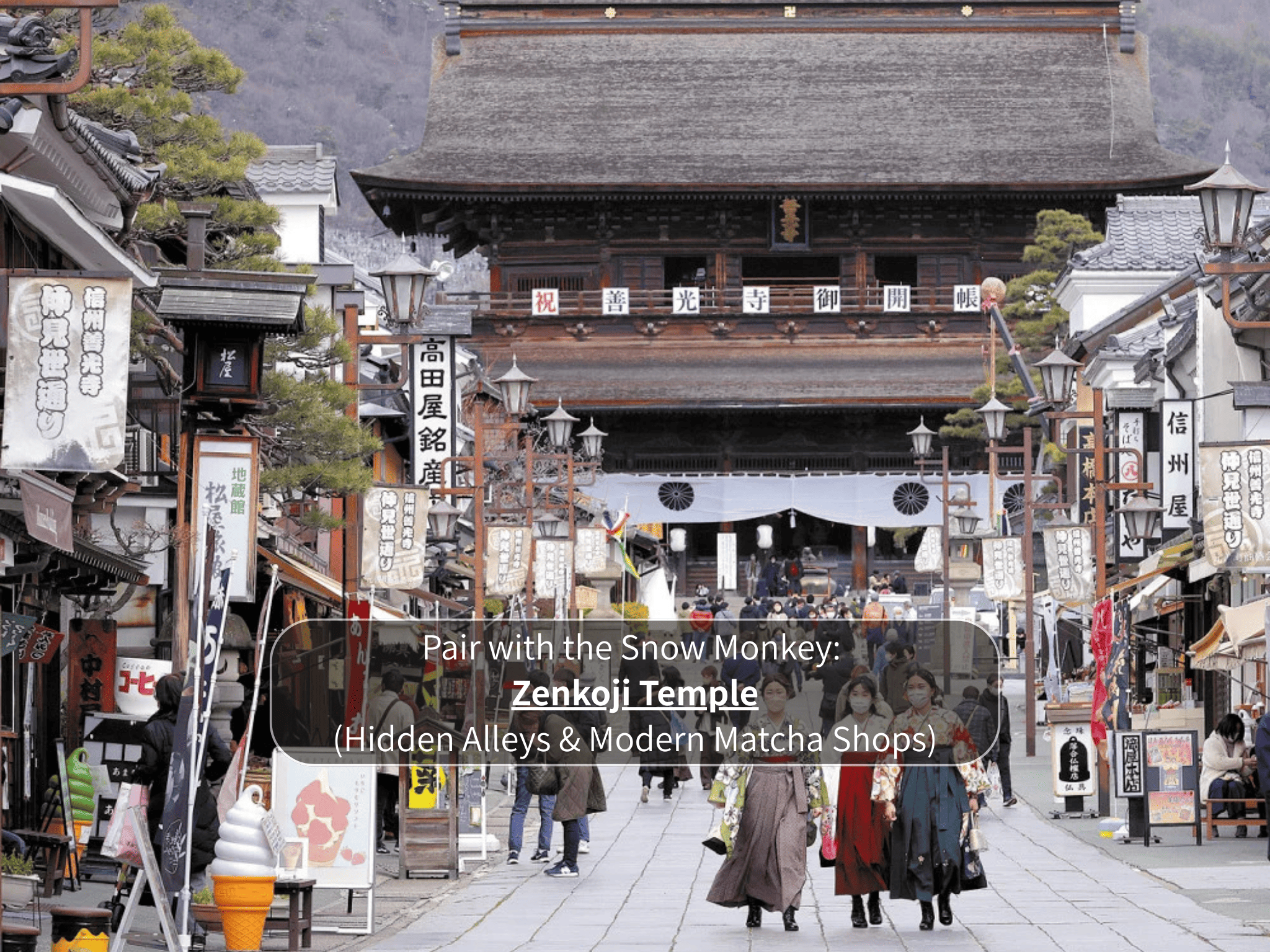 Nagano Snow Monkeys & Hidden Gems Private Day Tour