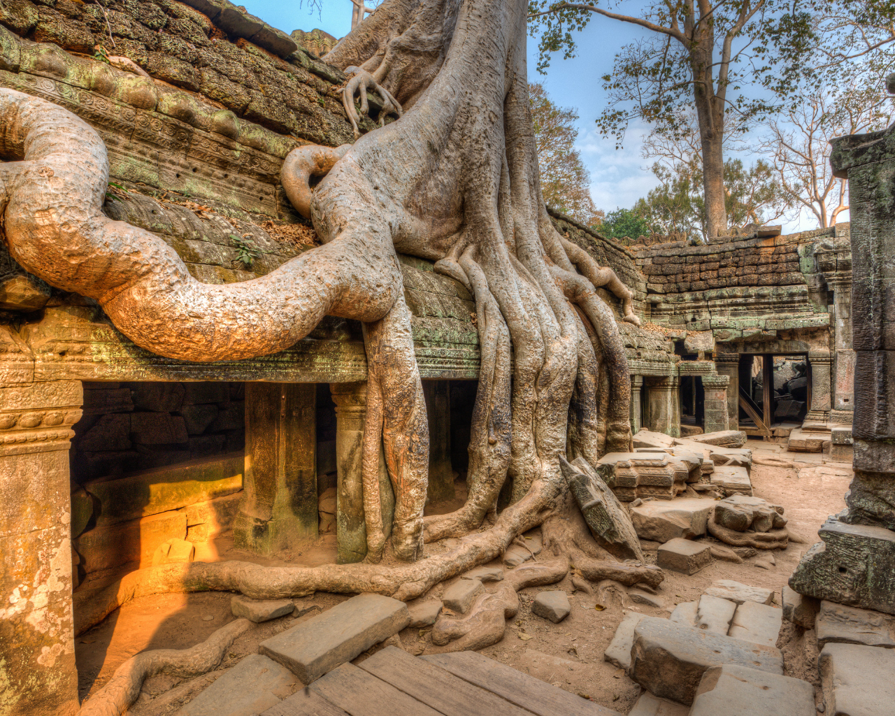 Siem Reap: Full-Day Angkor Temple Cycling Adventure