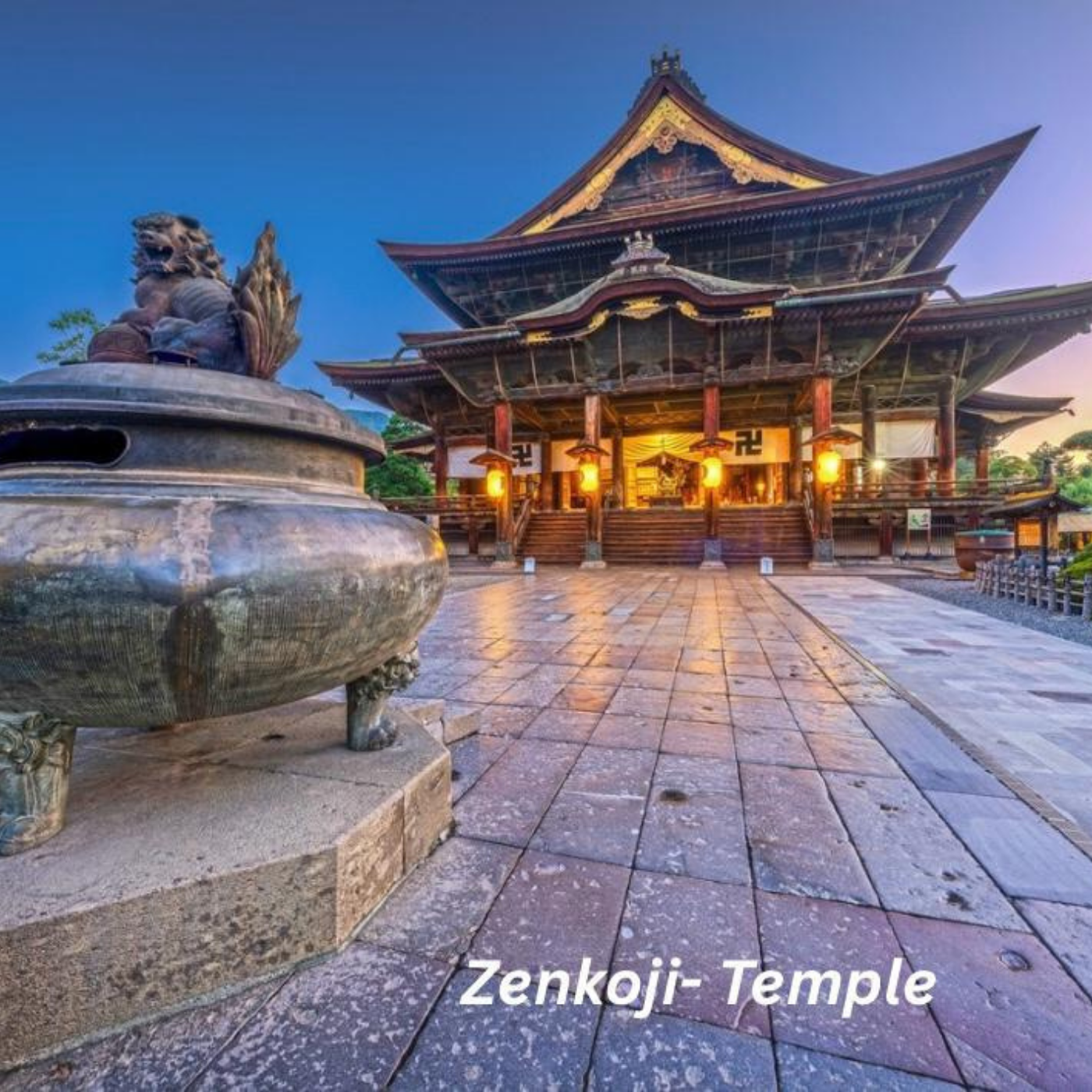 Nagano Snow Monkeys & Temples Private Full-Day Tour from Tokyo or Nagano