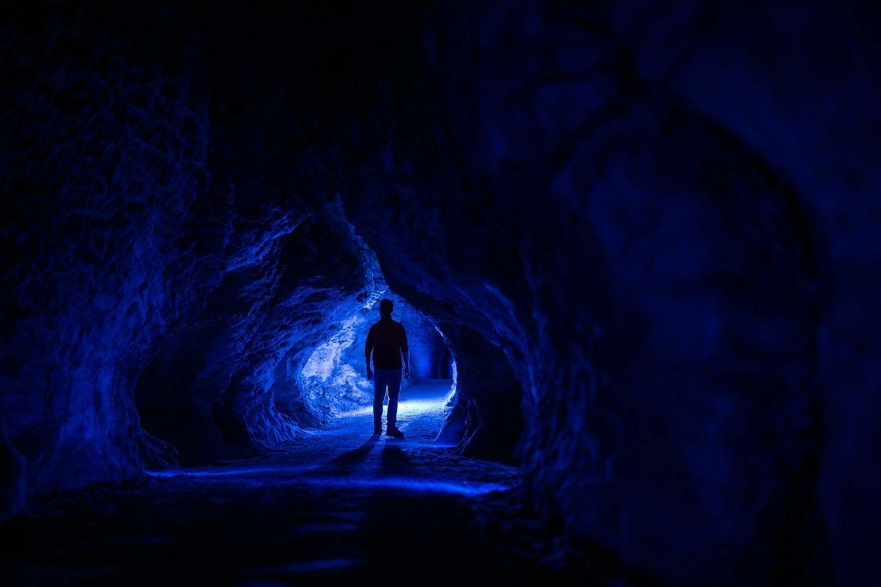 Waitomo Caves: Ruakuri Glowworm Cave Guided Walking Tour