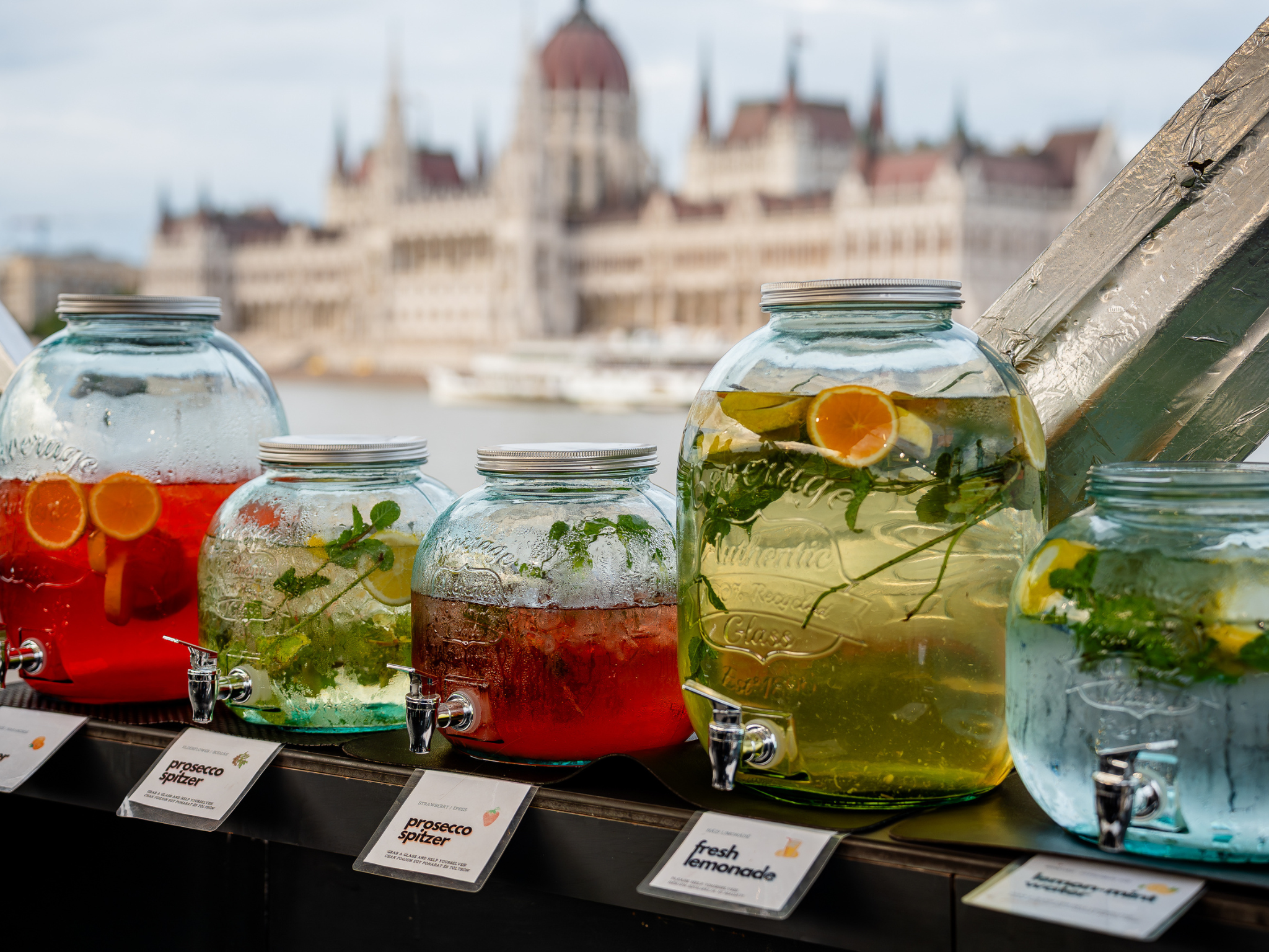 Budapest river cruise on the Danube — Parliament, Chain Bridge and Buda Castle — image 18