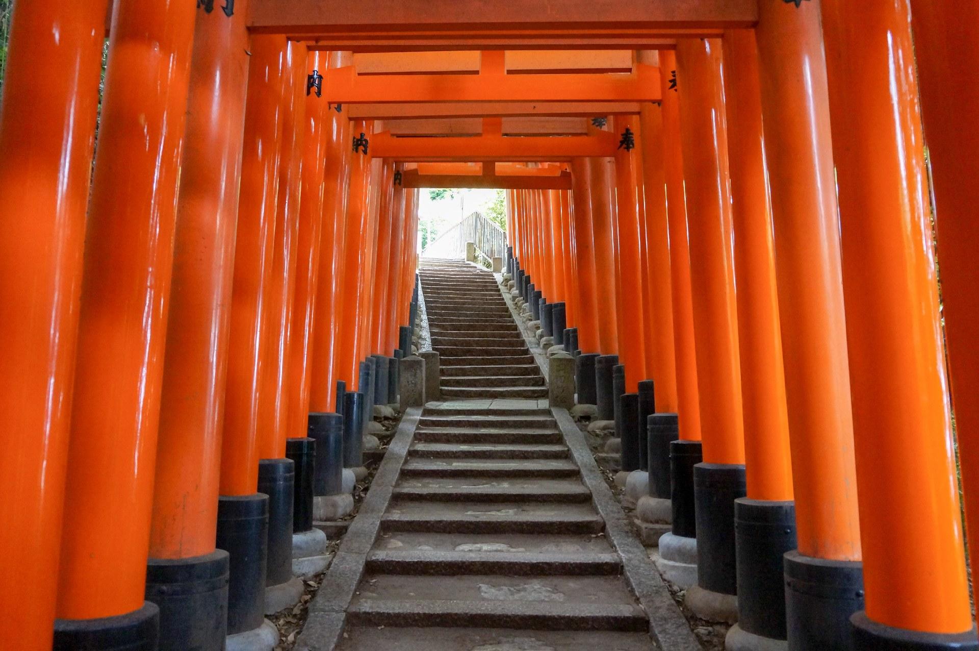 Nara, Fushimi Inari Taisha, and Arashiyama Day Tour from Osaka/Kyoto