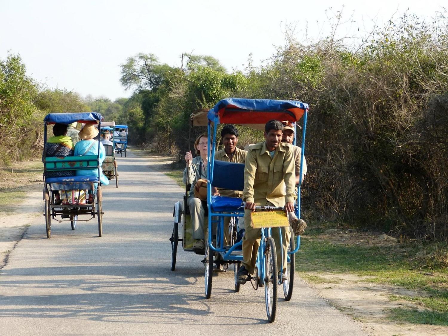 Keoladeo National Park: Custom Guided Tours & Transfers