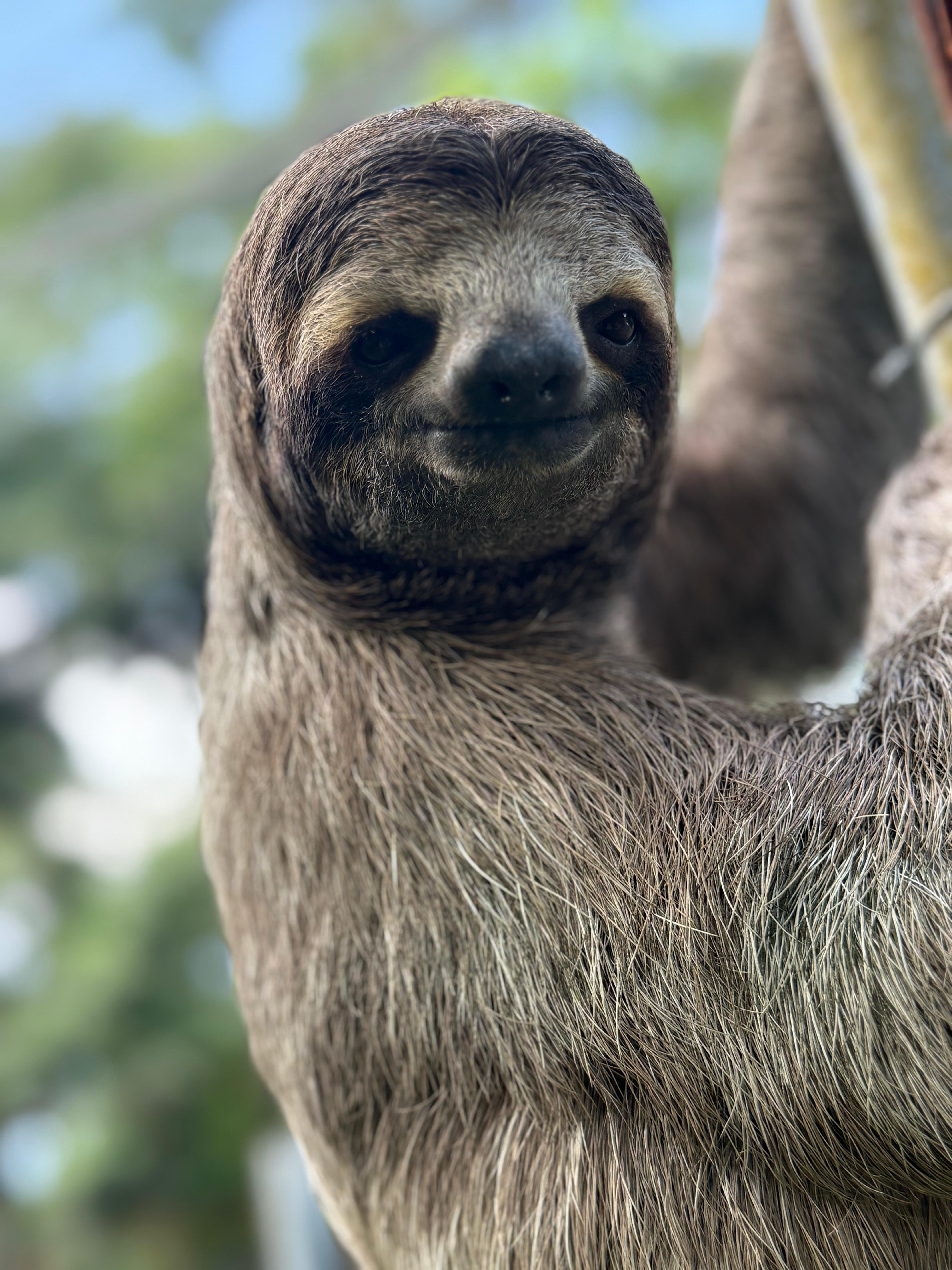 Manuel Antonio National Park: Wildlife Guided Tour with Entrance Fee
