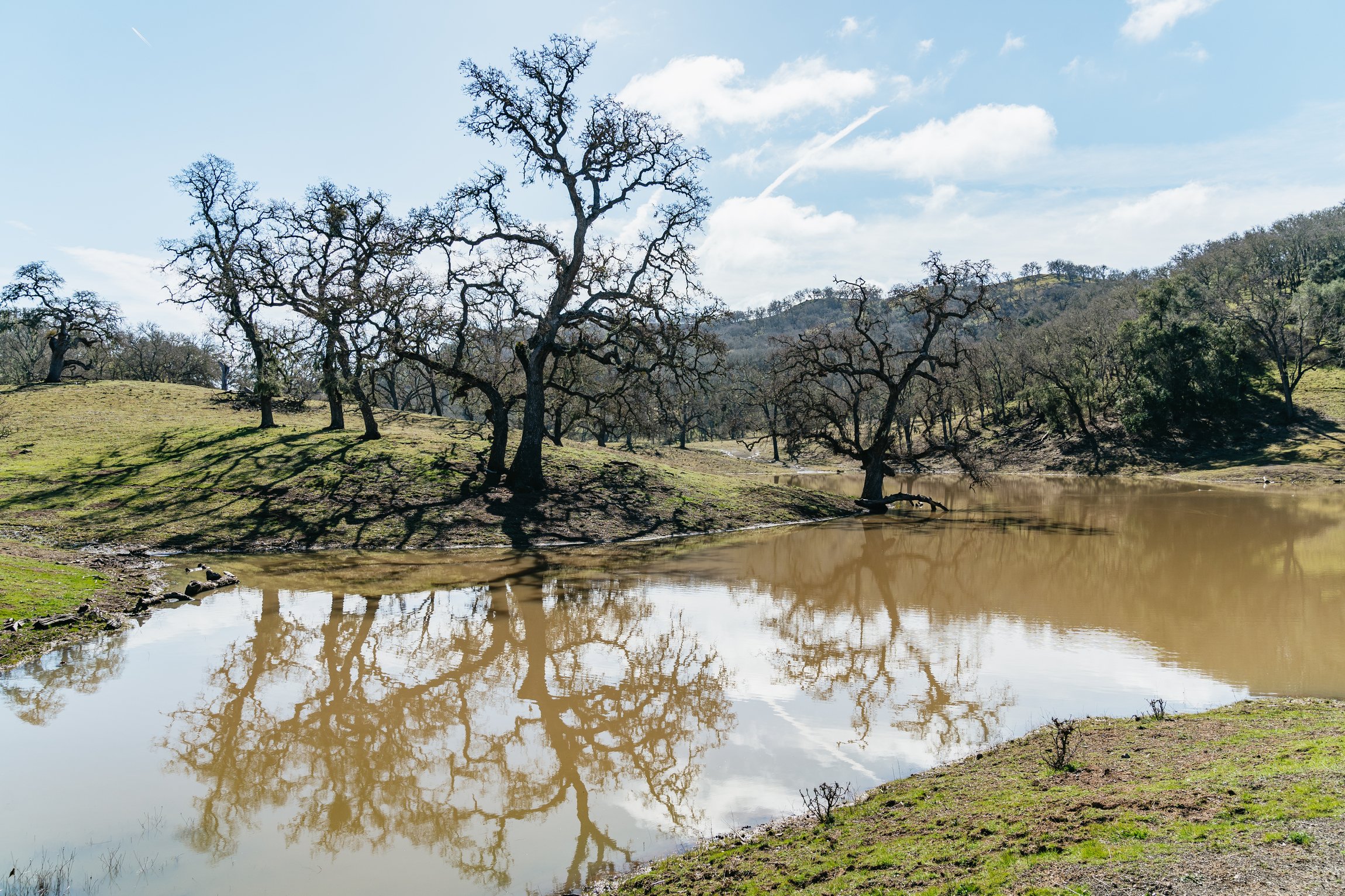 Santa Lucia Mountains Guided Nature Tour