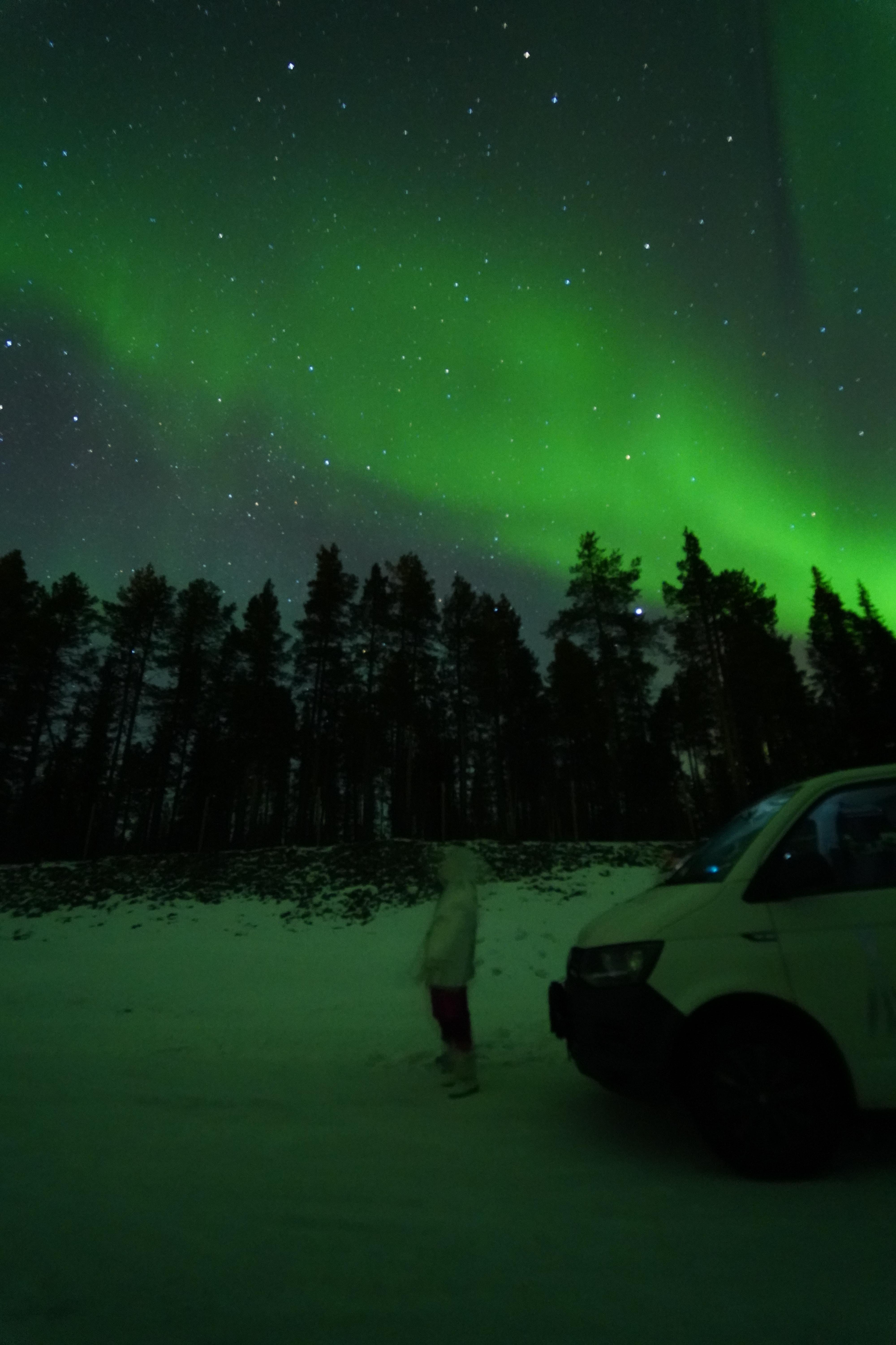 Northern lights tour, image 27