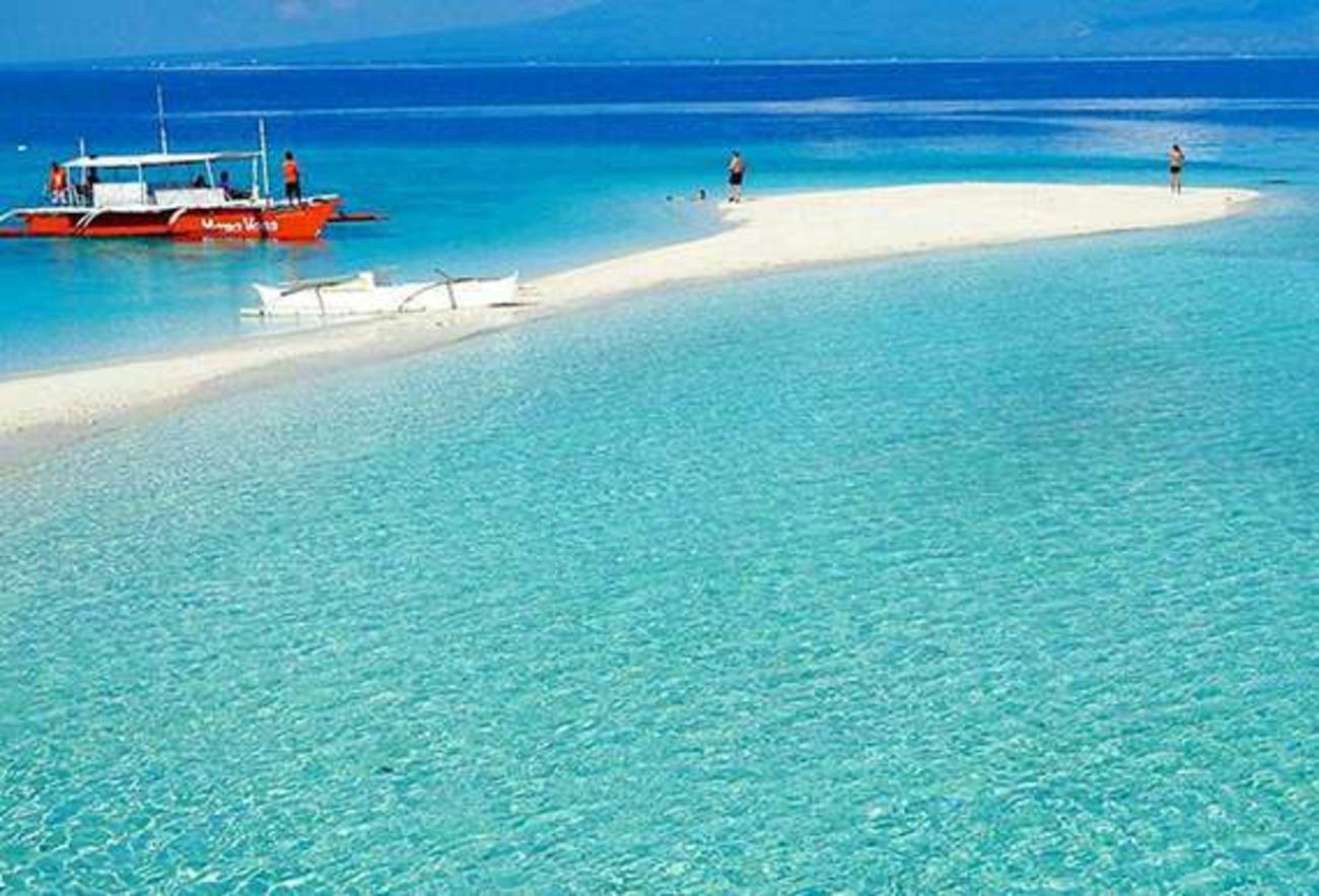 Cebu Triple Wonder: Whale Sharks, Sumilon Sandbar & Tumalog Falls
