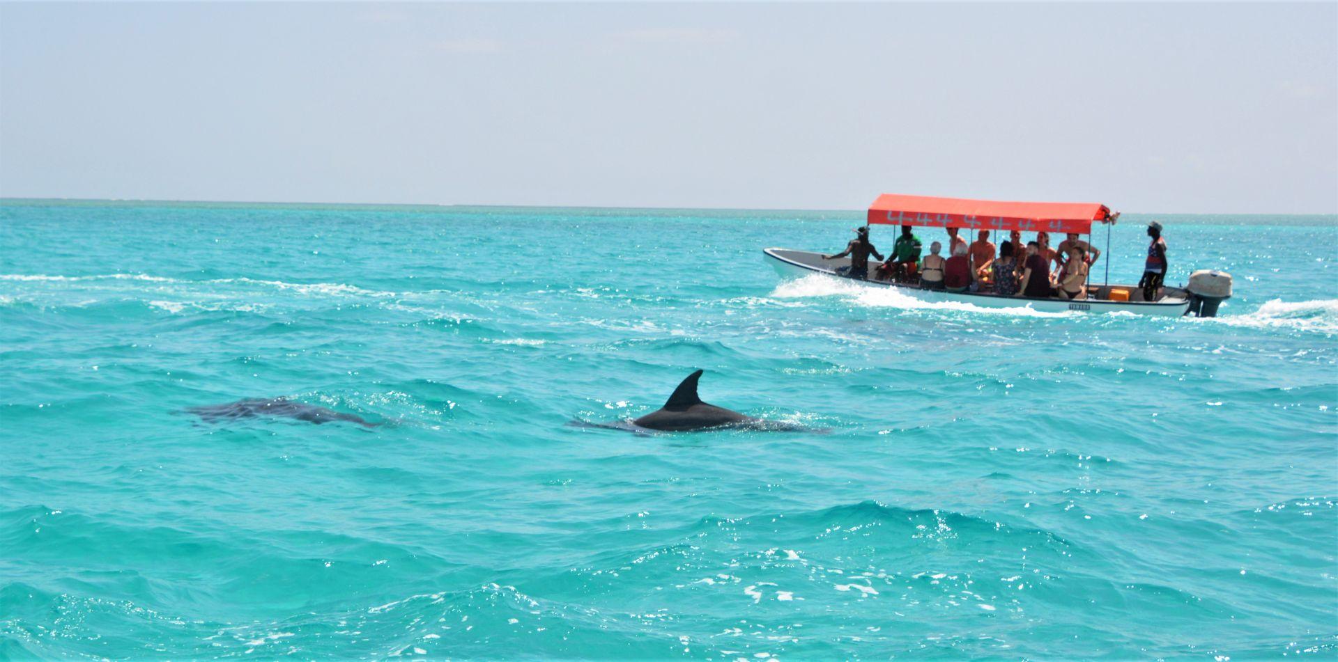Mnemba Island Snorkeling & Dolphin Encounter from Nungwi