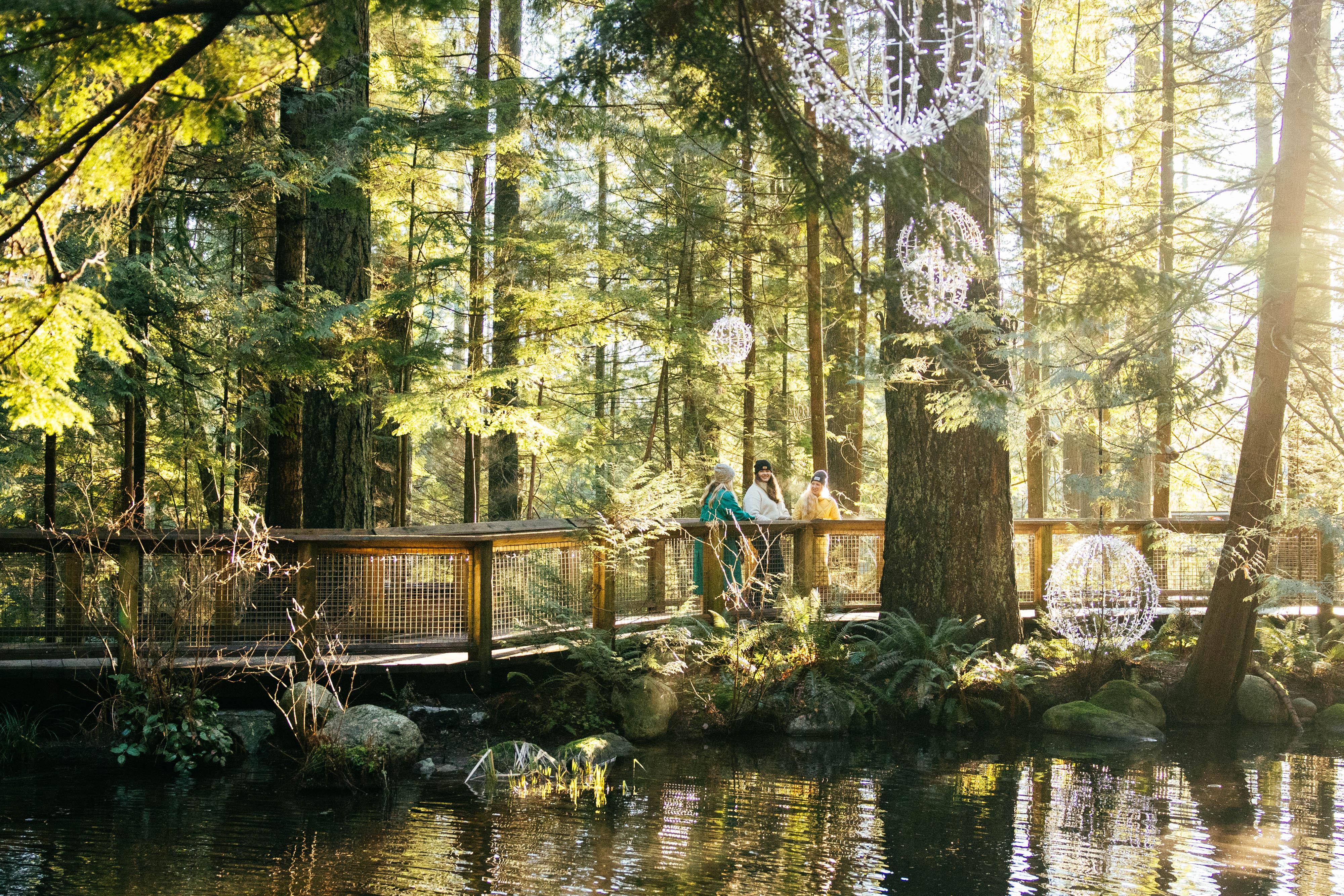 Capilano Suspension Bridge Park Entry