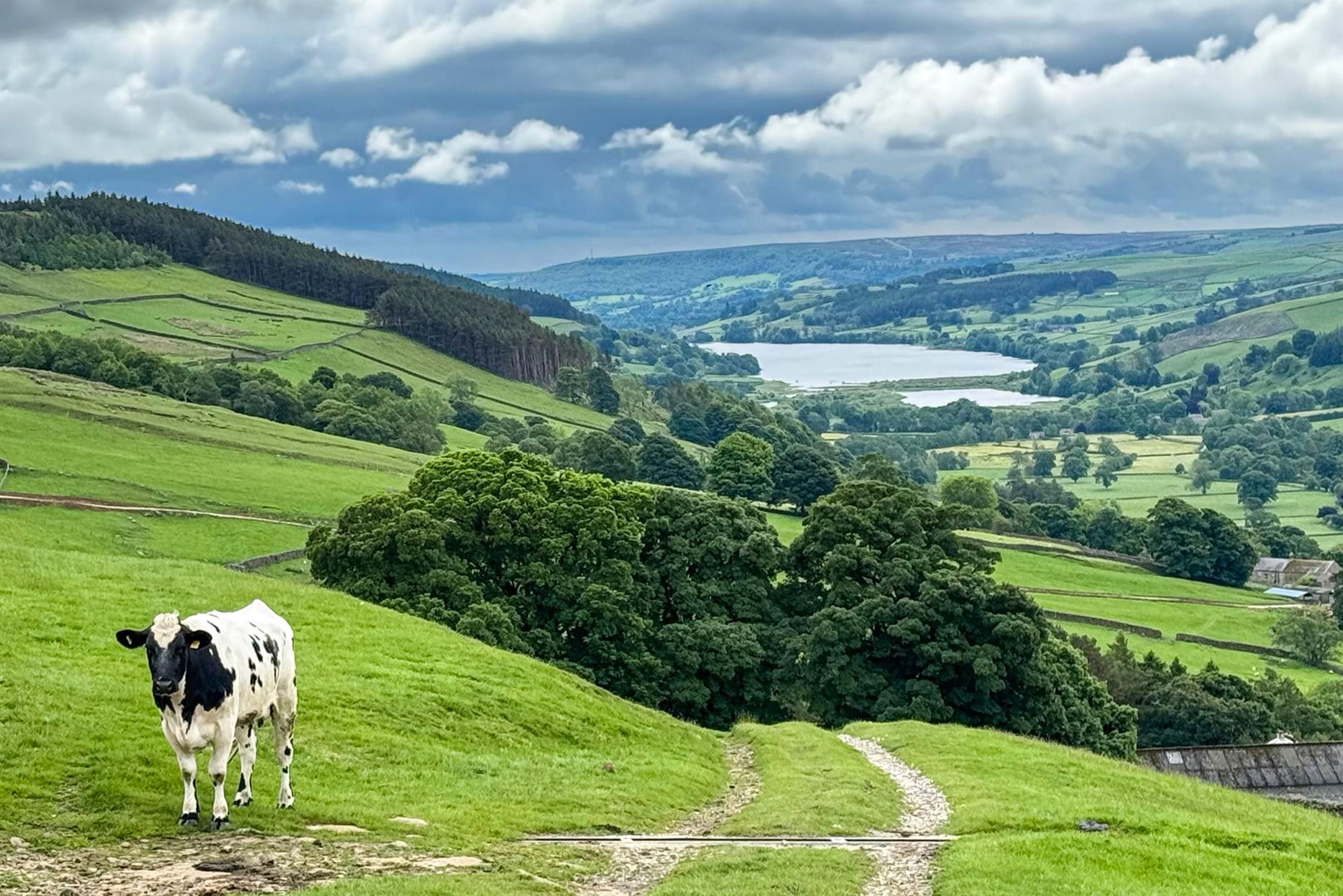 Herriot Country & Yorkshire Dales Discovery