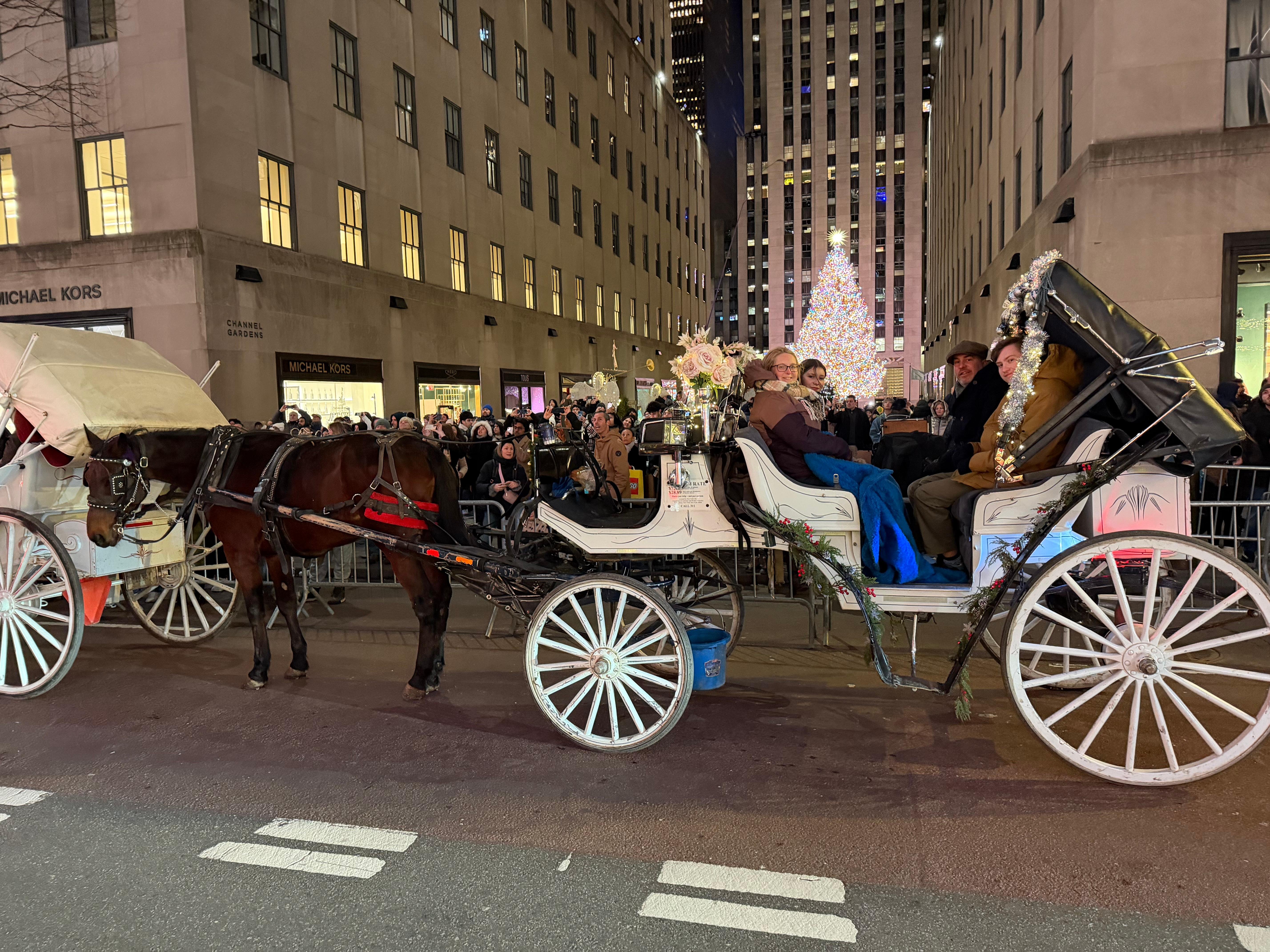 Private Central Park Horse Carriage Tour with Guide