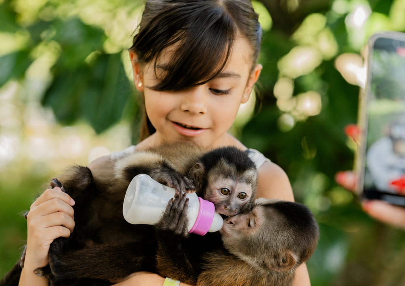 Punta Cana Patron Monkey Sanctuary