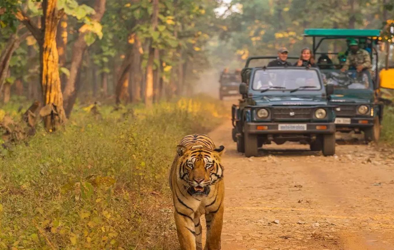 4-Day Private Chitwan National Park Safari from Kathmandu