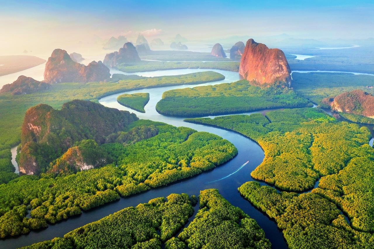 Phuket: Twilight Sea Canoe & Bioluminescent Plankton Tour