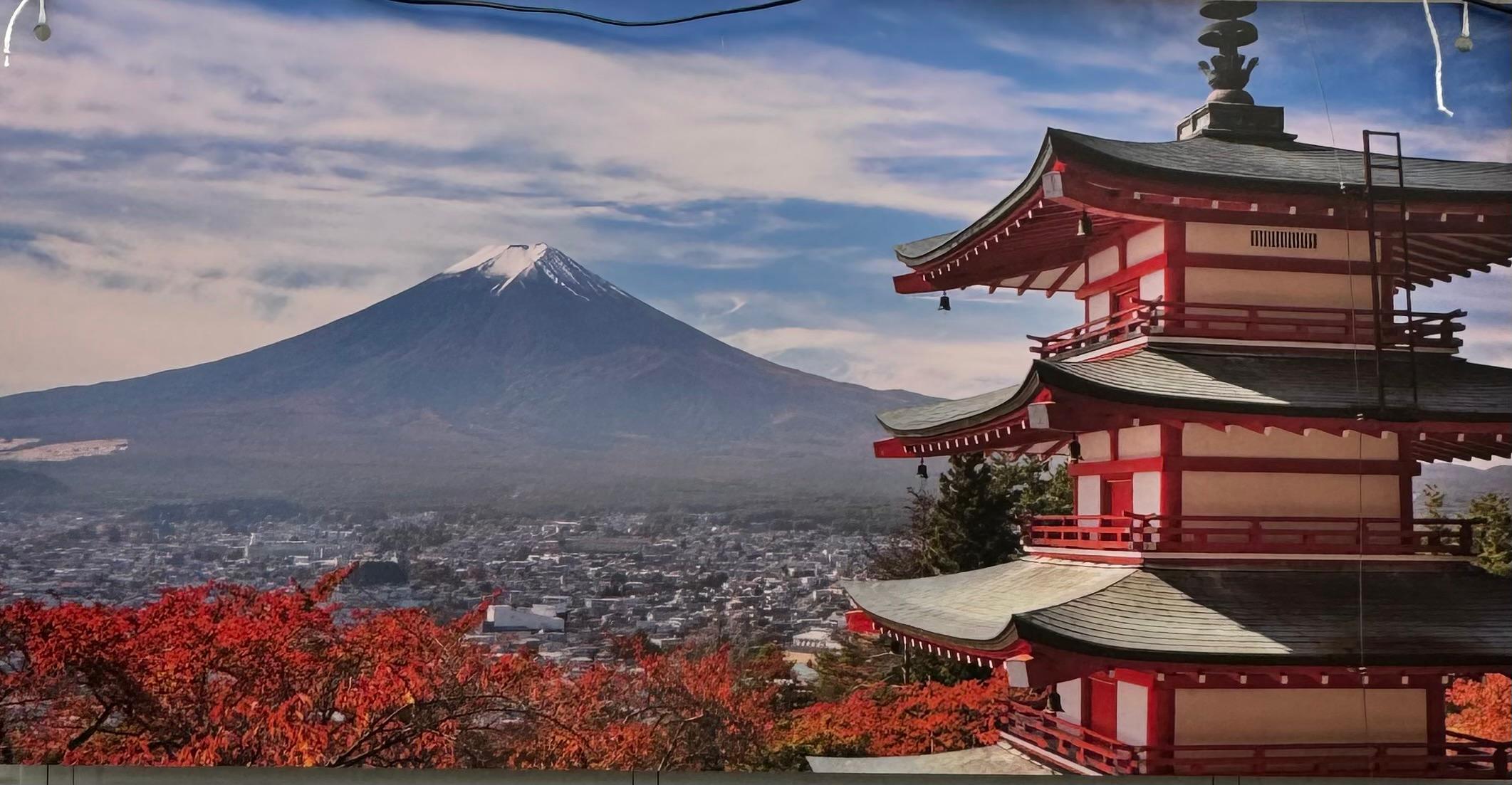 Tokyo to Mt. Fuji & Hakone: Private Full-Day Tour with English Driver