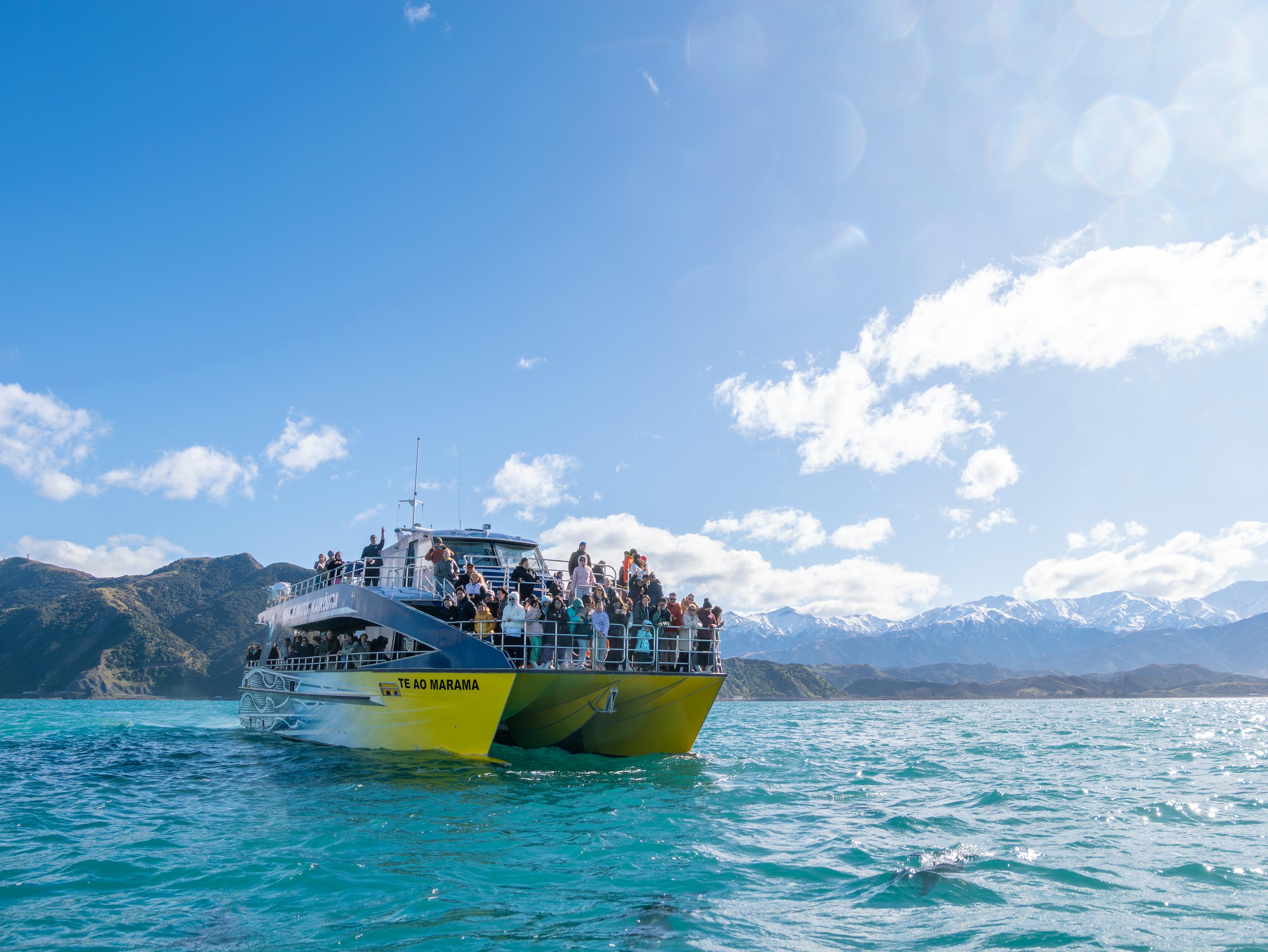 Kaikoura Giant Sperm Whale Watching Cruise