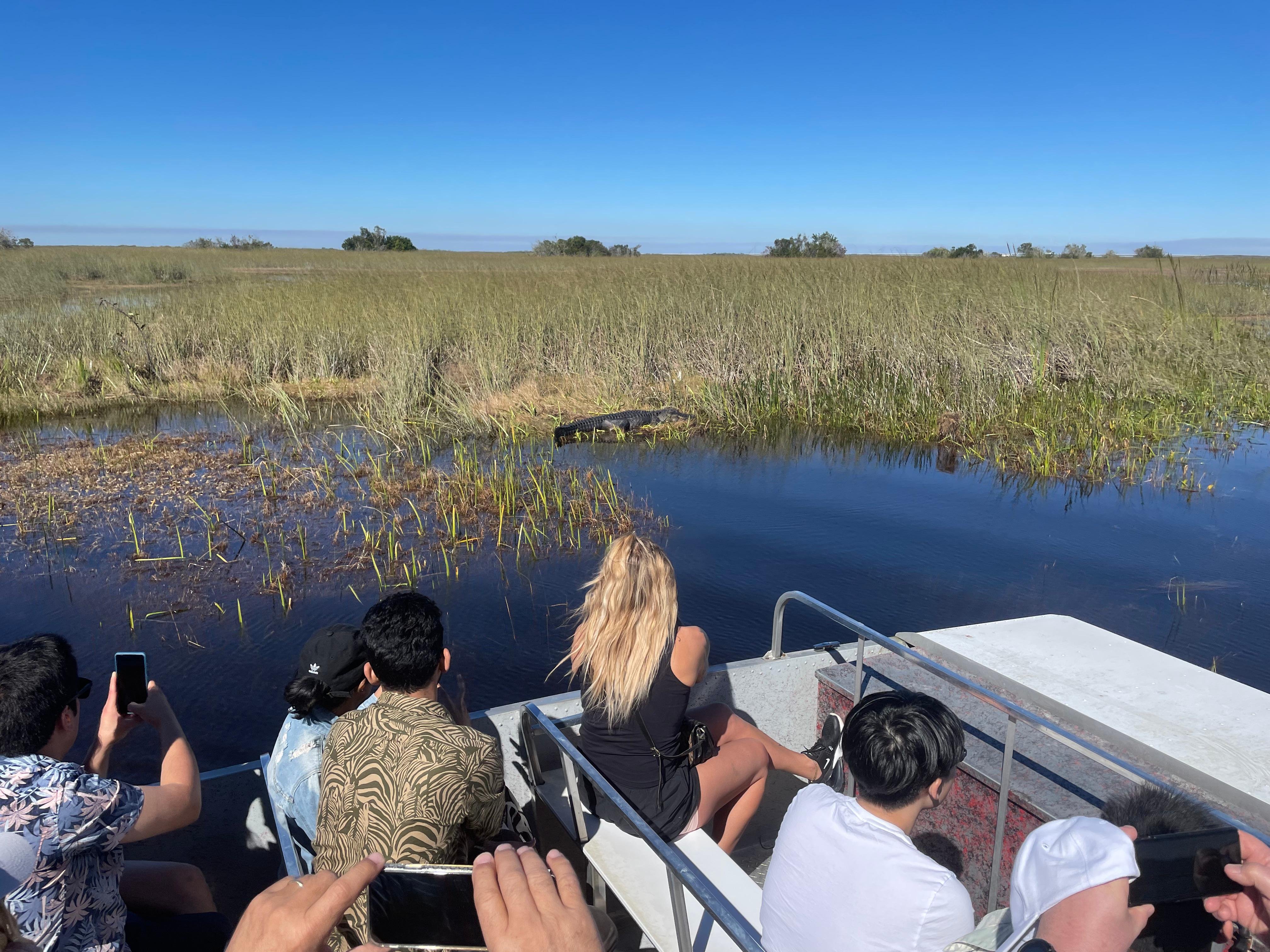 Miami: Everglades Airboat Alligator Tour & free pick-up - 2026 (Verified Reviews)