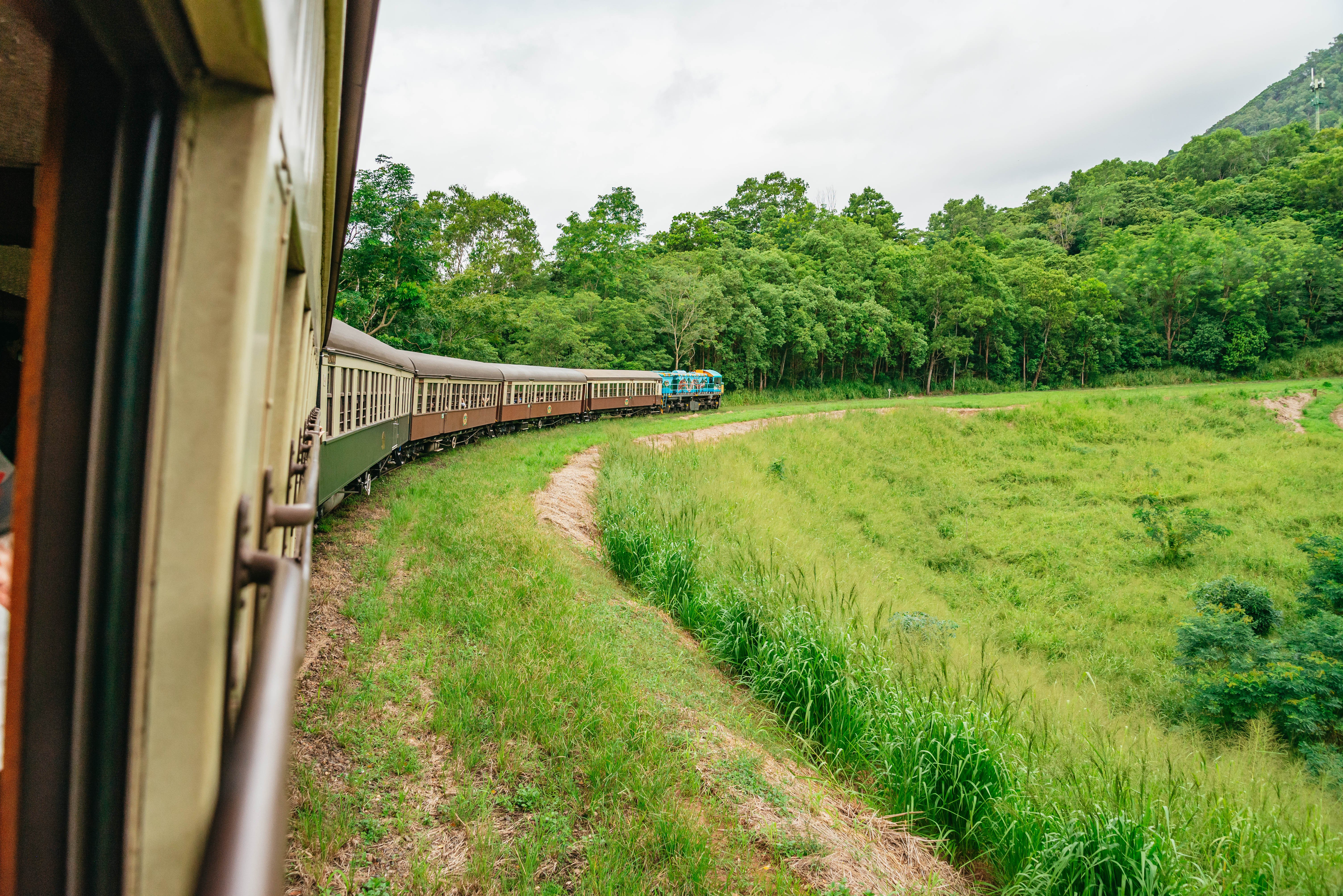 Kuranda Rainforest Full-Day Experience from Cairns